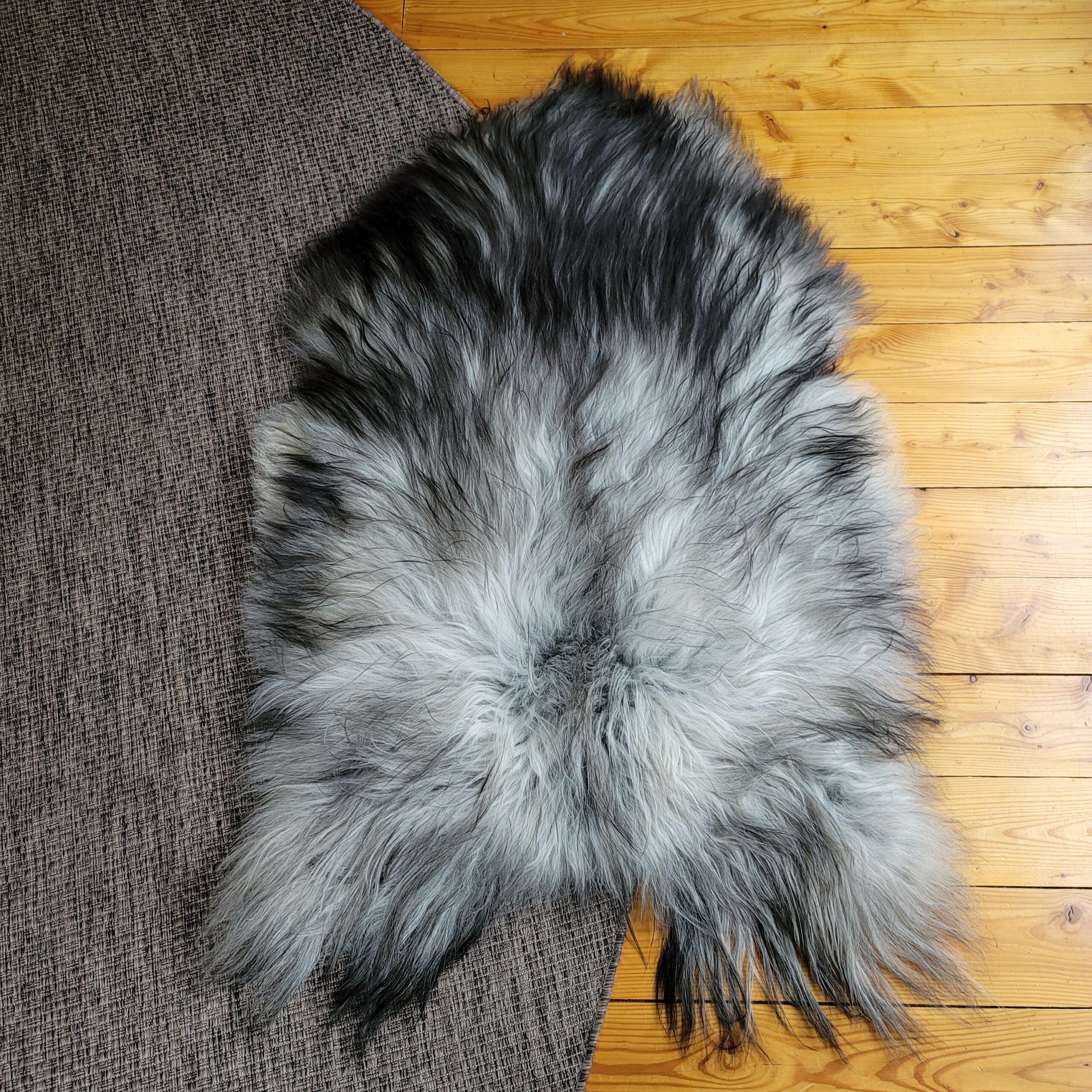 Gray Icelandic Sheepskin Wide, Long + Silky Soft 54" x 35" - Image 2
