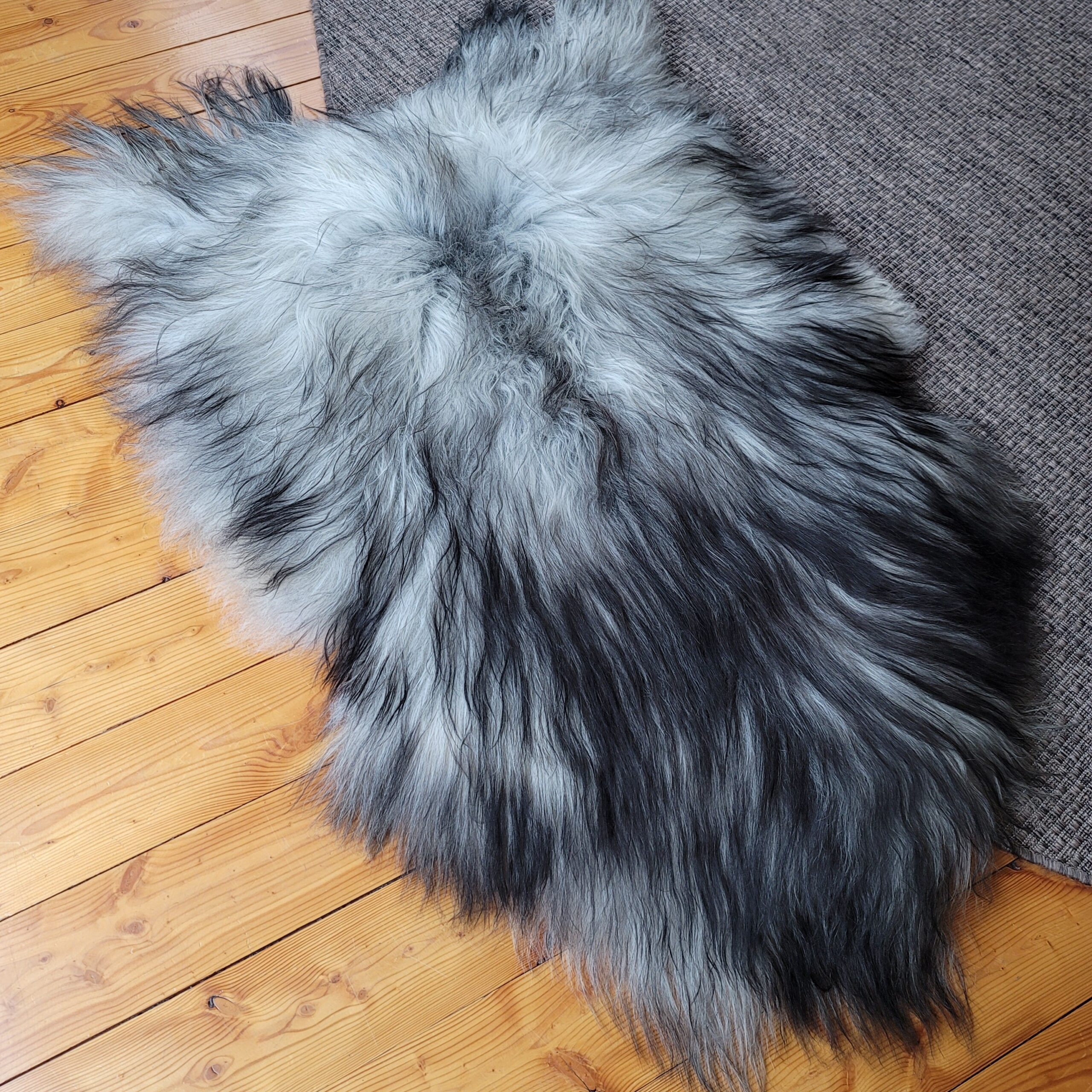 Gray Icelandic Sheepskin Wide, Long + Silky Soft 54" x 35" - Image 3