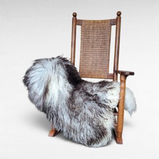 Very Unique Icelandic Sheepskin Rug Curly Cream + Gray + Brown 45" x 31"