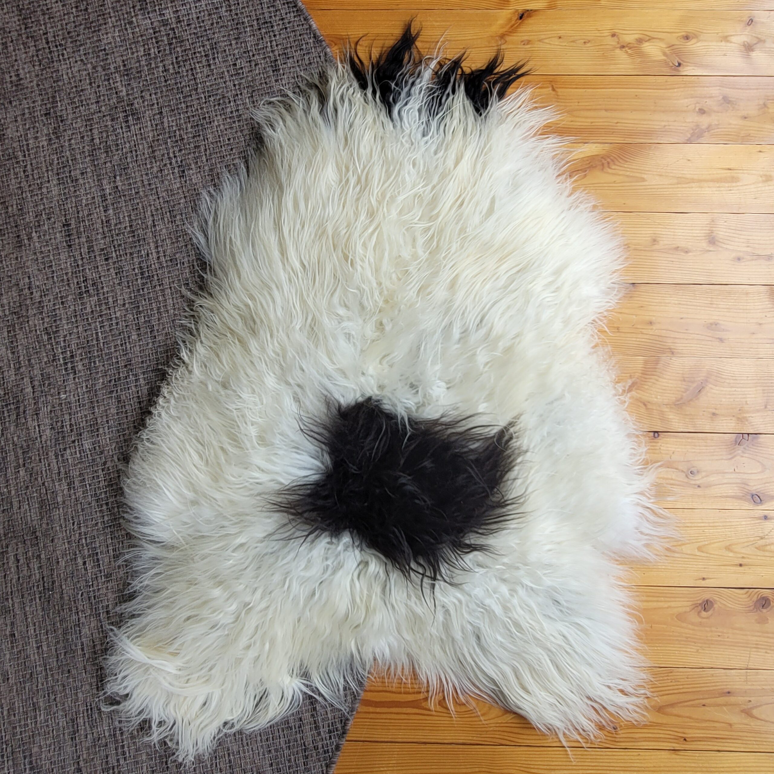 Icelandic Curly Rug Ecru + Brown + Gray 50" x 36" - Image 4