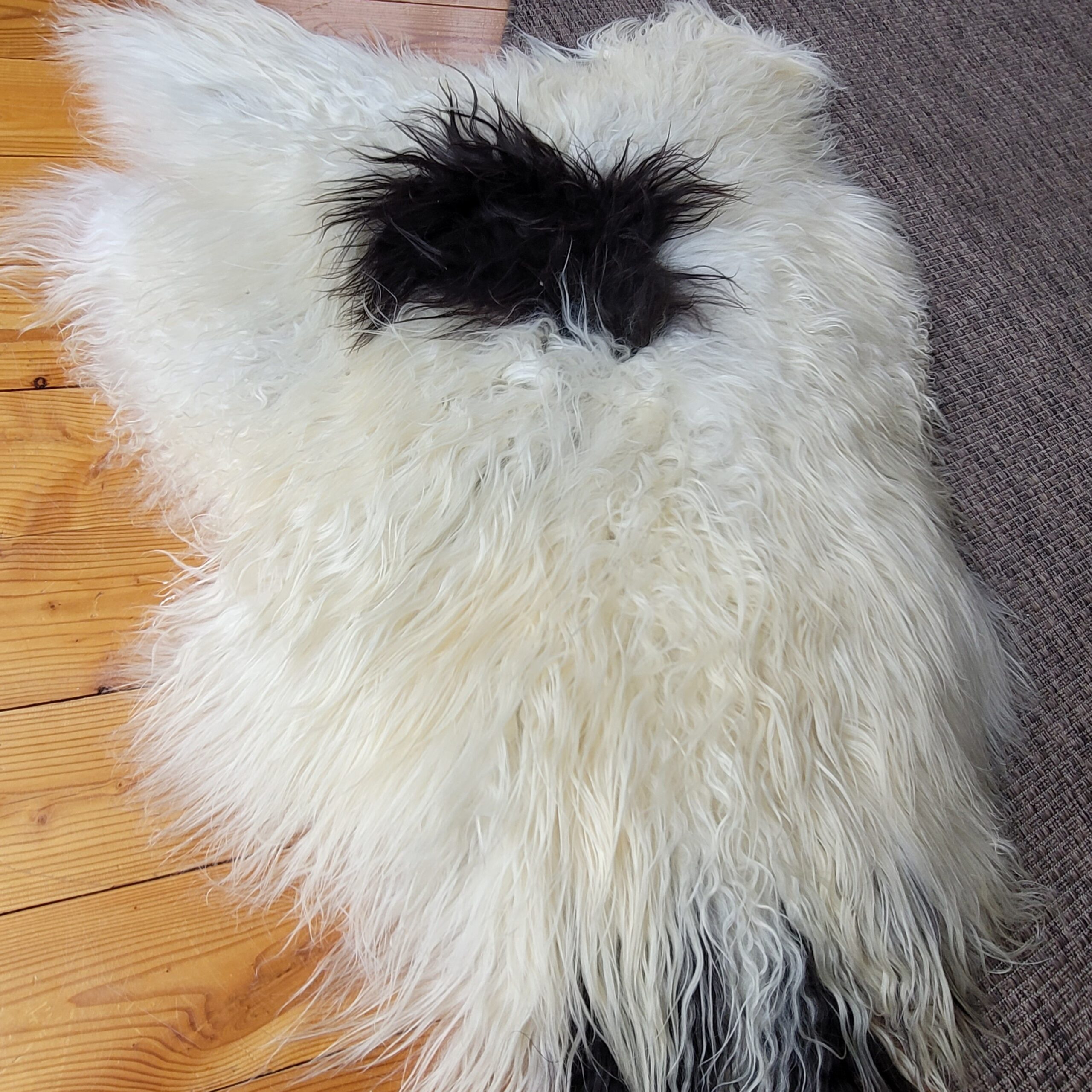 Icelandic Curly Rug Ecru + Brown + Gray 50" x 36" - Image 3