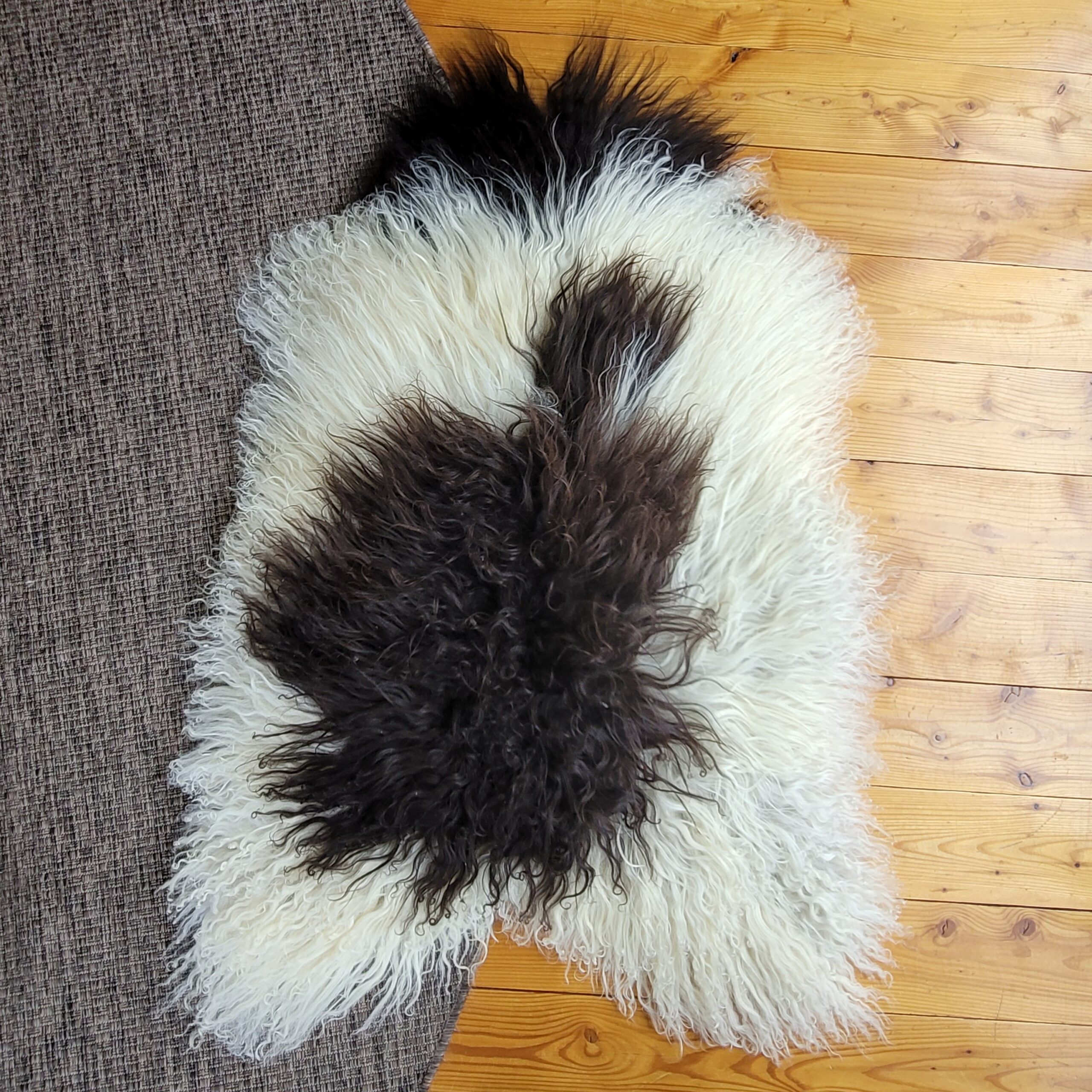 Icelandic Sheepskin Rug - Cream + Brown Spot, Gray Base 49" x 32" - Image 7