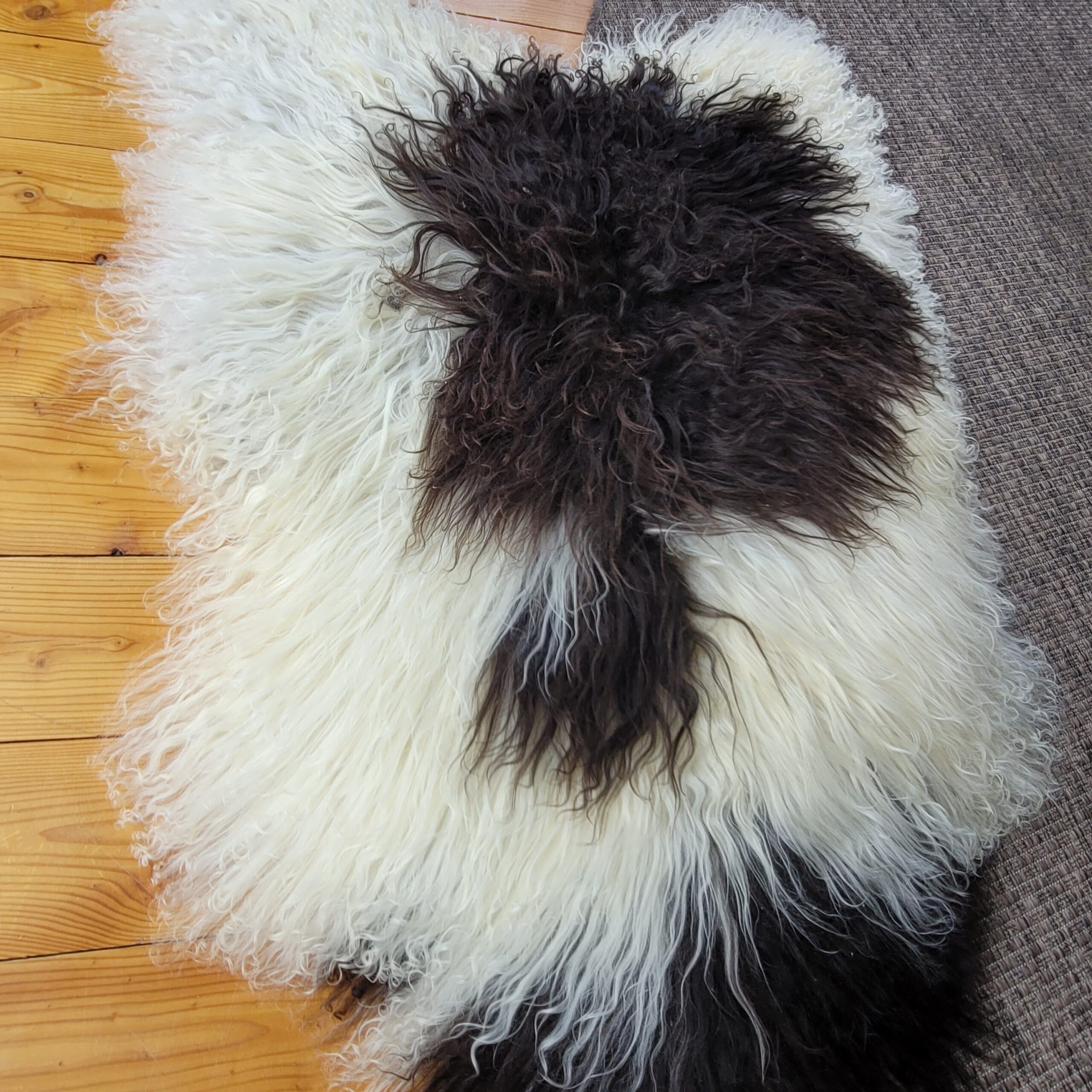 Icelandic Sheepskin Rug - Cream + Brown Spot, Gray Base 49" x 32" - Image 5