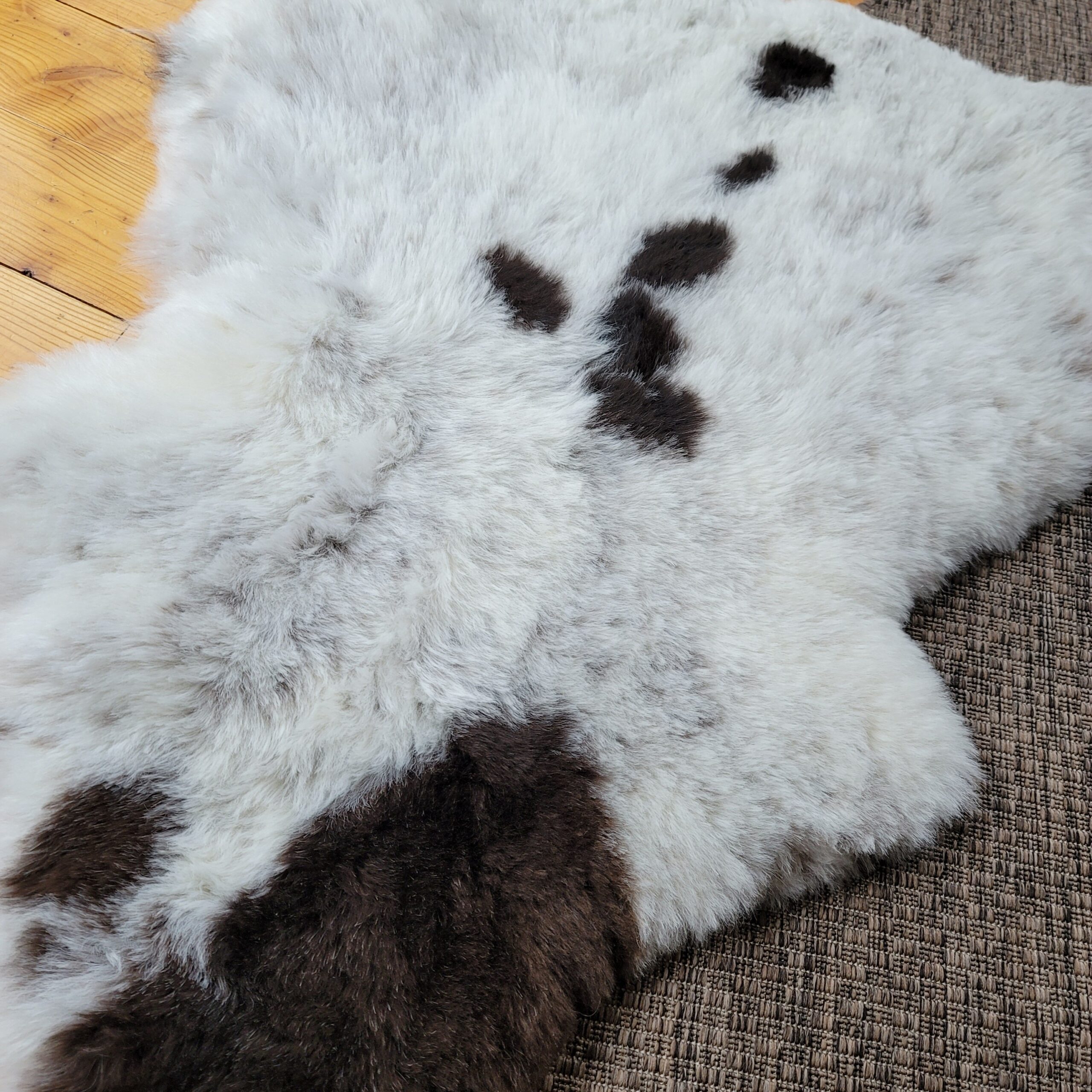 Gray-Brown Spotted Shorn Icelandic Sheepskin (45" x 34") - Image 4
