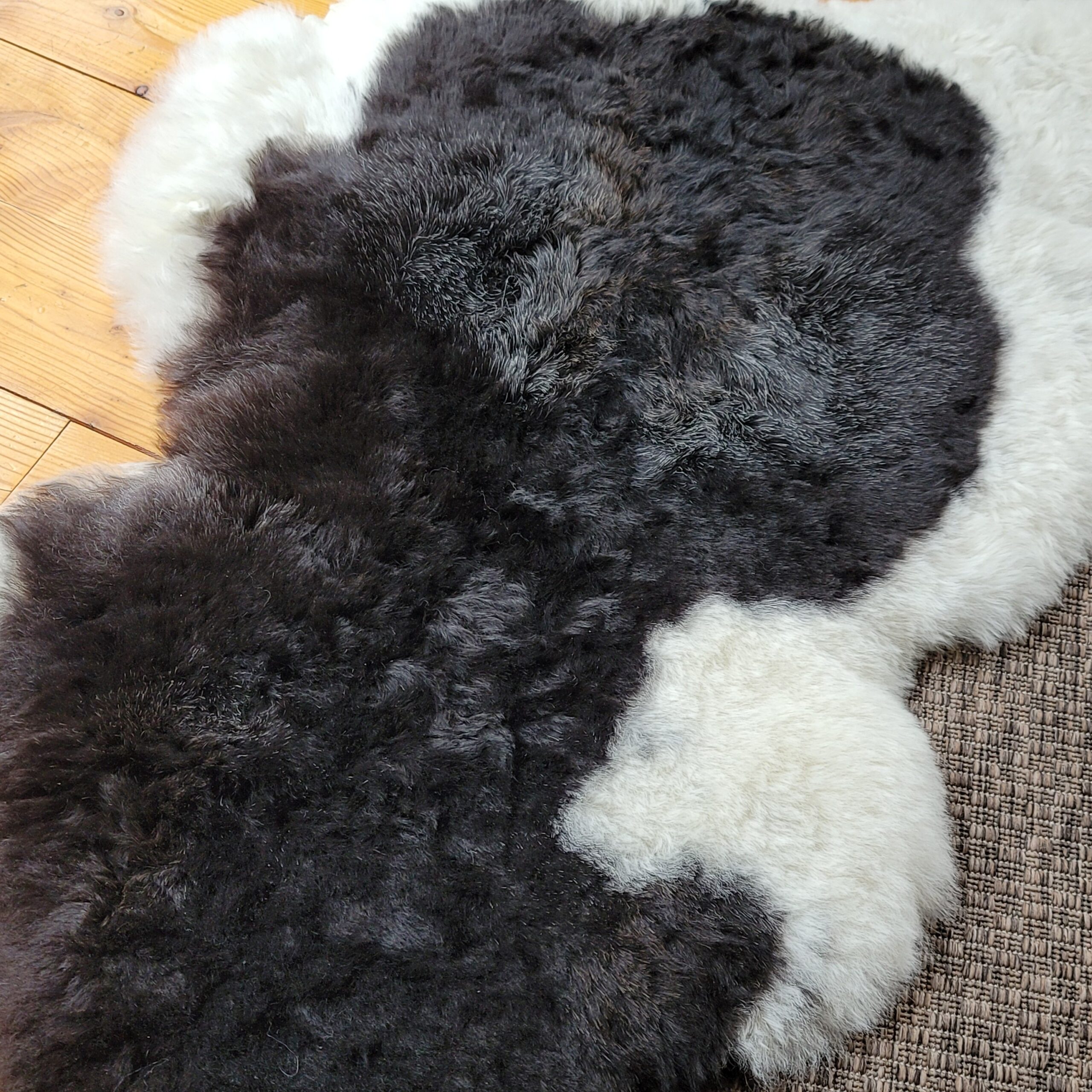 Soft Sheen Shorn Icelandic Lambskin Throw (43" x 29") - Image 3