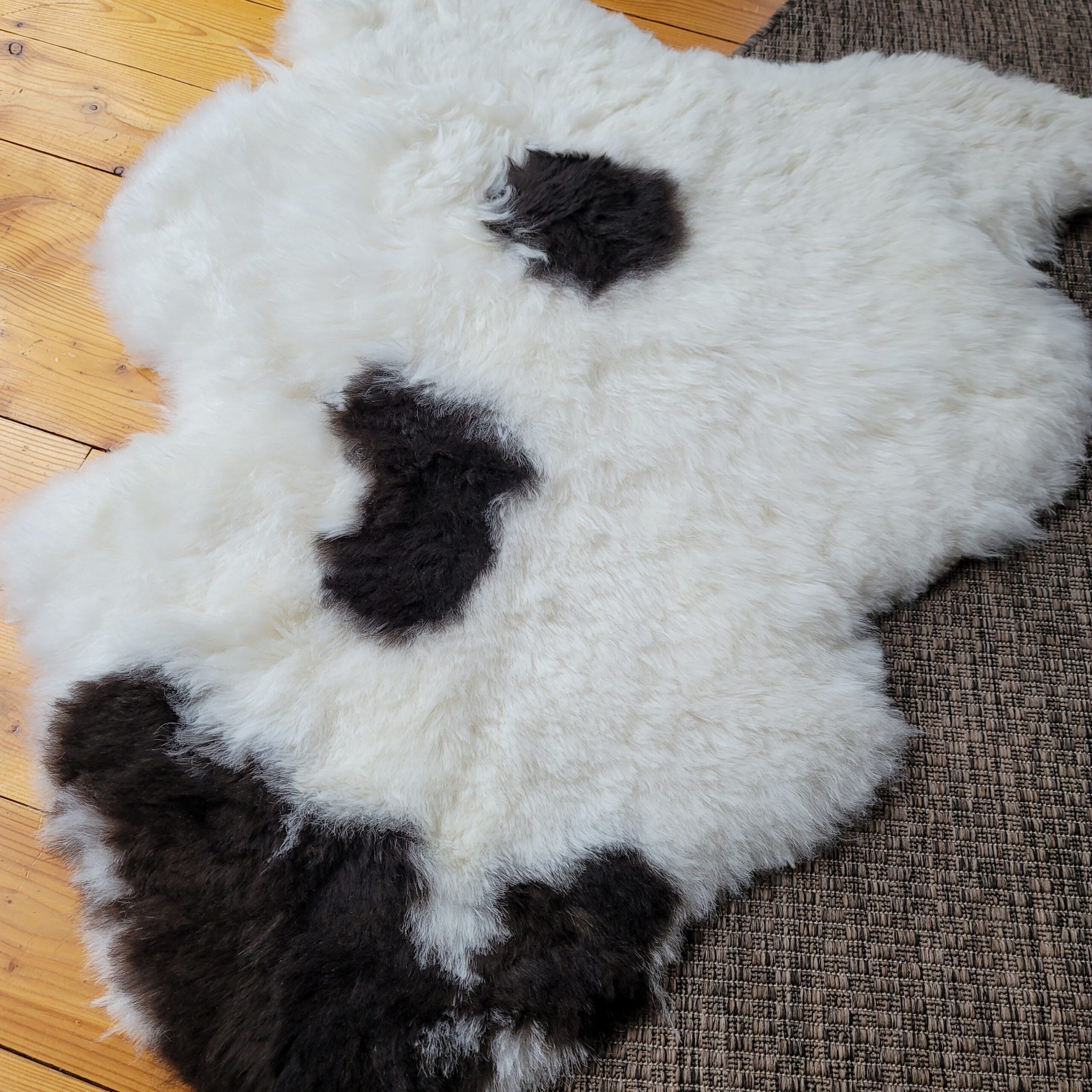 Dark Spotted Supple Shorn Icelandic Sheepskin (44" x 33") - Image 4