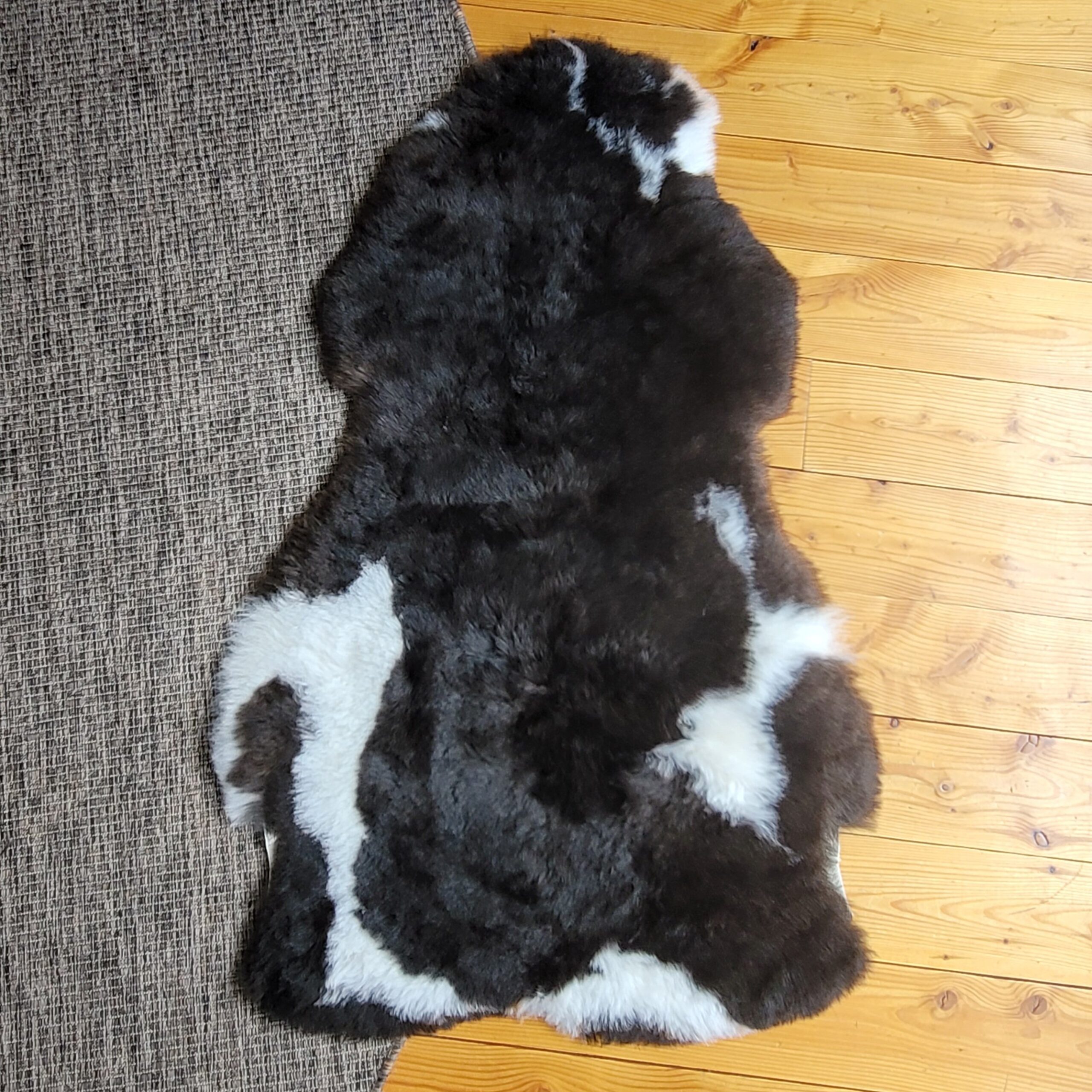 Supple Shorn Spotted Icelandic Lambskin Throw (45" x 26") - Image 4
