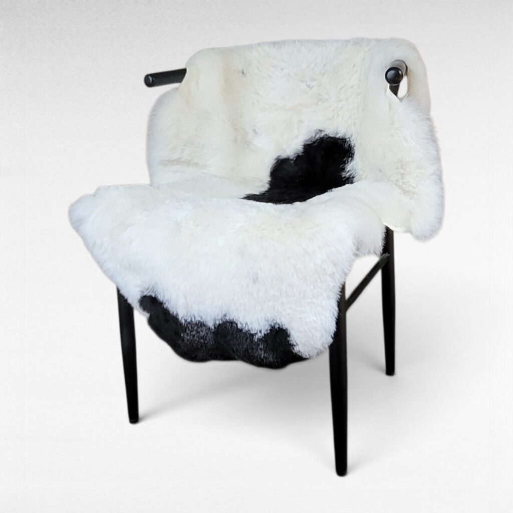 dense short wool spotted Icelandic sheepskin rug shown on a chair