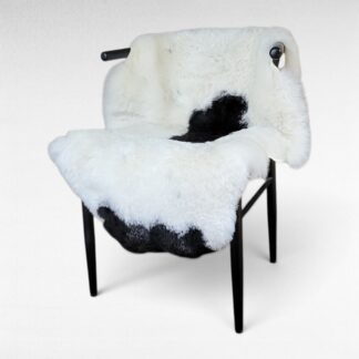 dense short wool spotted Icelandic sheepskin rug shown on a chair