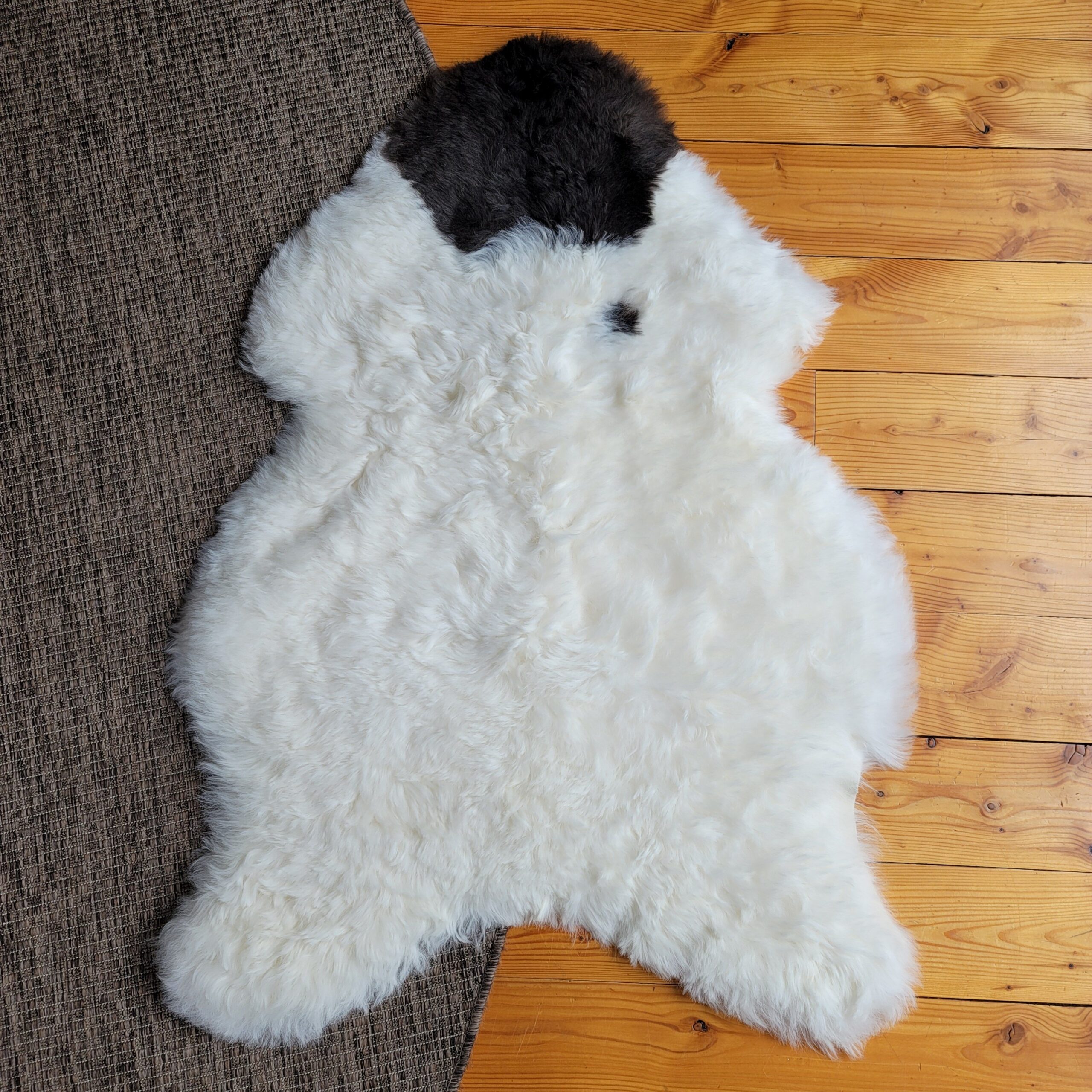 Loose Curl Shorn Spotted Icelandic Sheepskin (44" x 29") - Image 3