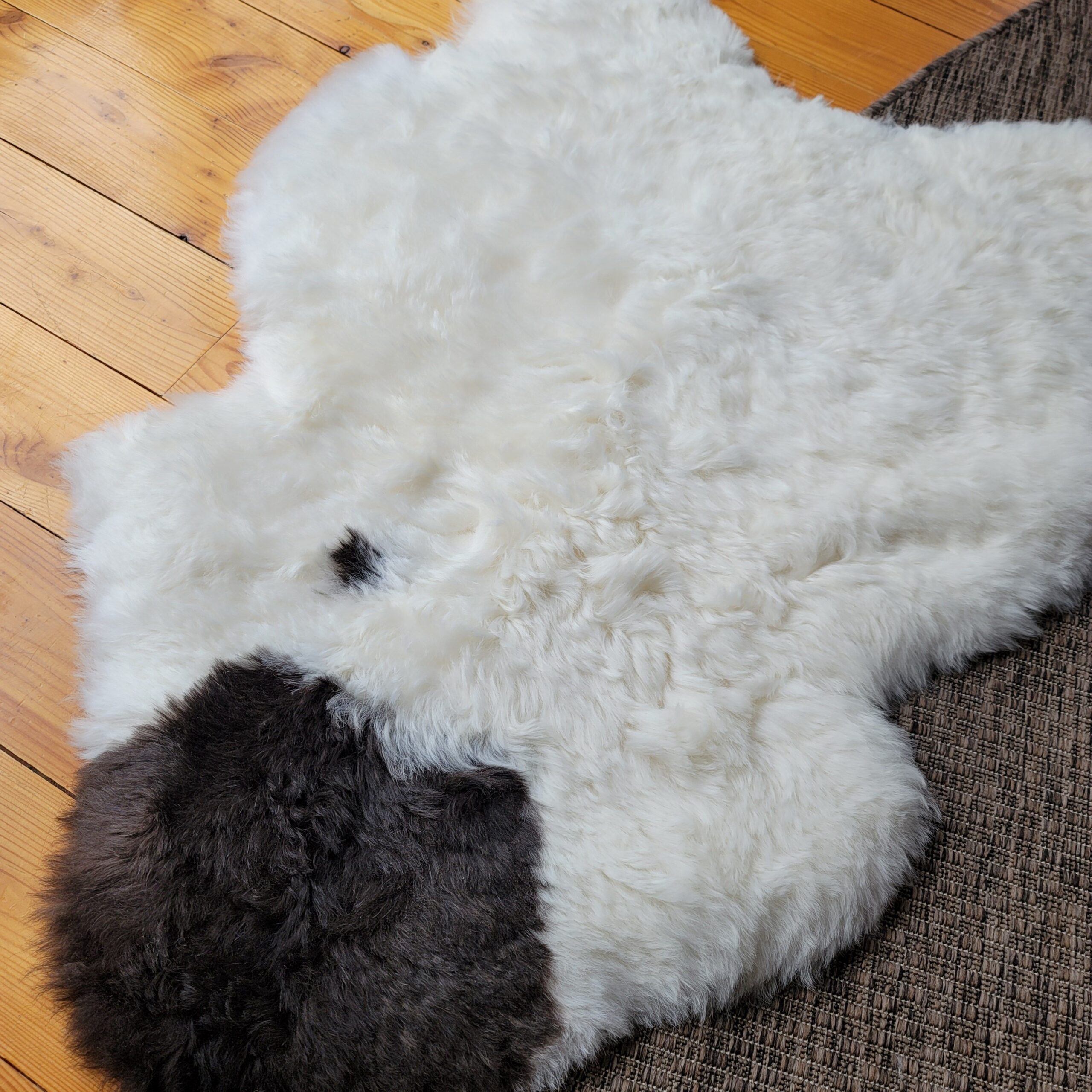 Loose Curl Shorn Spotted Icelandic Sheepskin (44" x 29") - Image 4