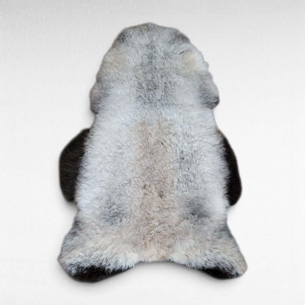 Soft gray wool sheepskin rug shown laying on a flat surface to display the natural colors and markings. This pelt is made out of genuine organic Icelandic sheepskin