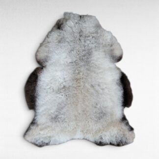 Thick wool gray sheepskin rug shown laying on a flat surface to display the natural colors and markings. This pelt is made out of genuine organic Icelandic sheepskin