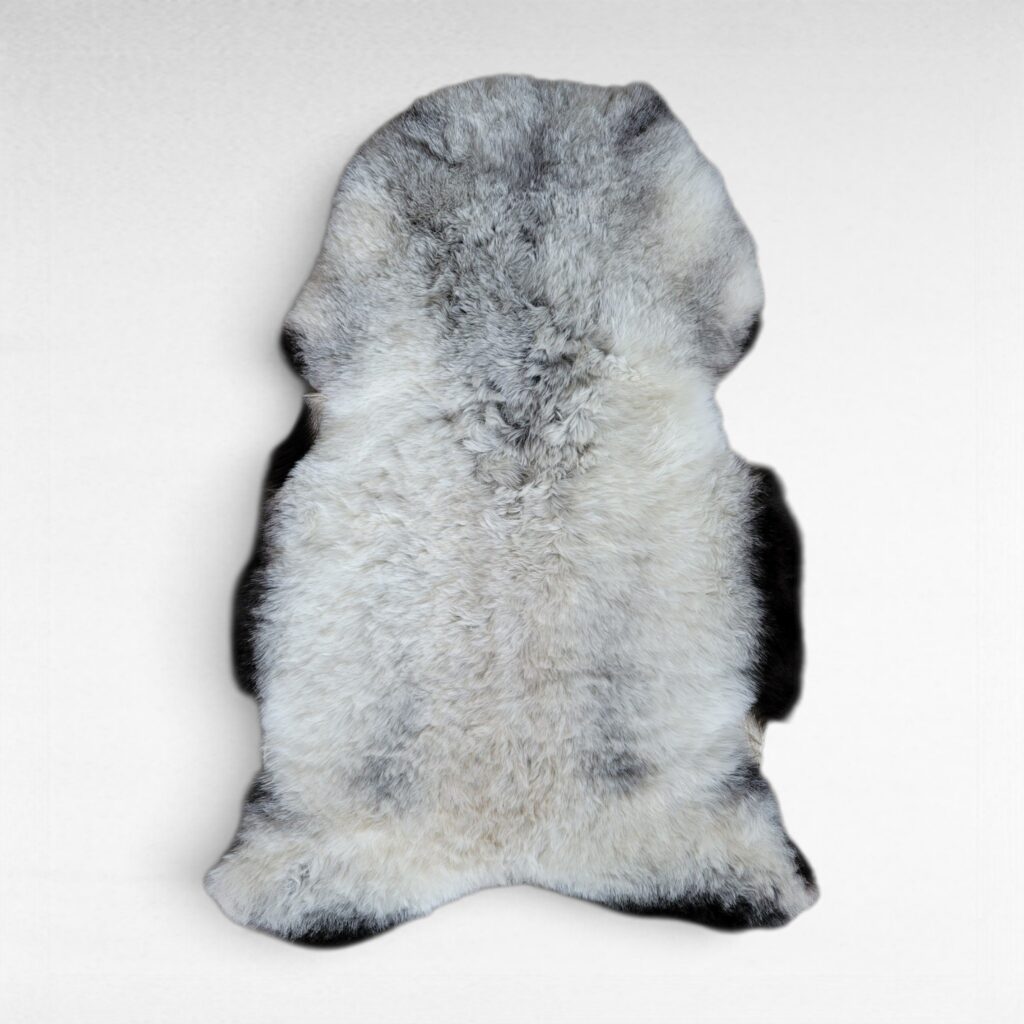 Gray sheepskin rug shown laying on a flat surface to display the natural colors and markings. This pelt is made out of genuine organic Icelandic sheepskin