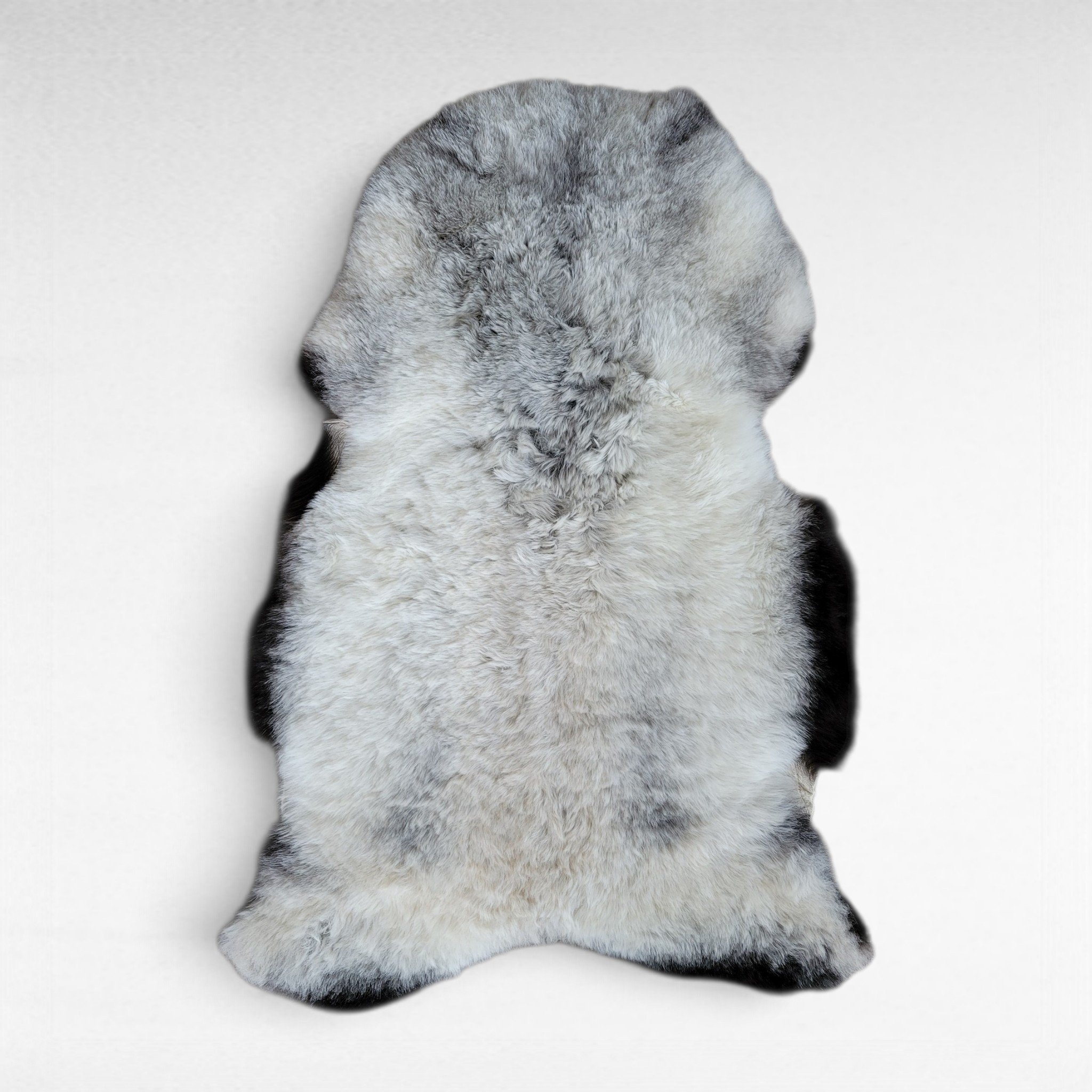 Gray sheepskin rug shown laying on a flat surface to display the natural colors and markings. This pelt is made out of genuine organic Icelandic sheepskin