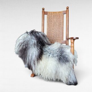 Tri-Color Large Curly Sheepskin (49" x 33")
