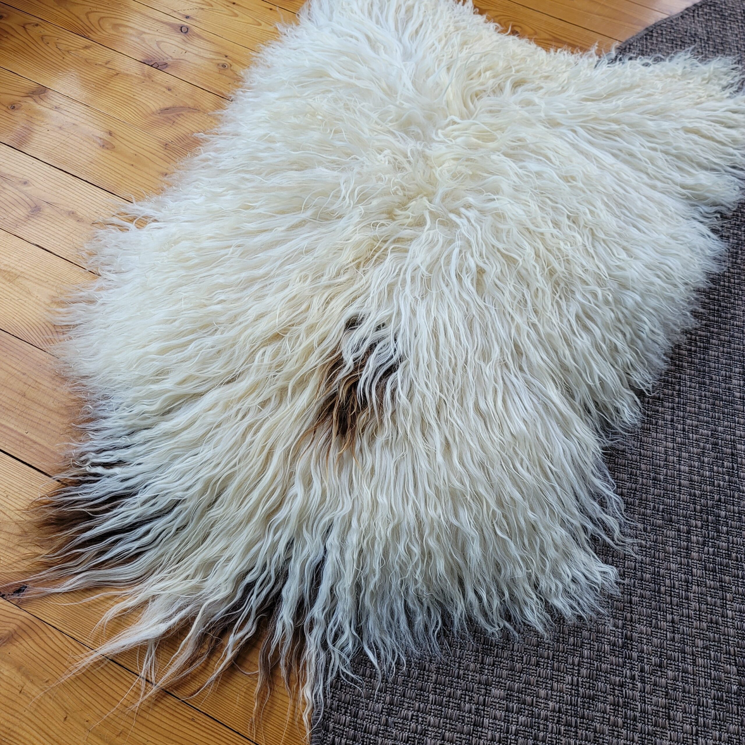 Icelandic Curly Wool Sheepskin (Heavyweight Hide 52" x 35") - Image 3