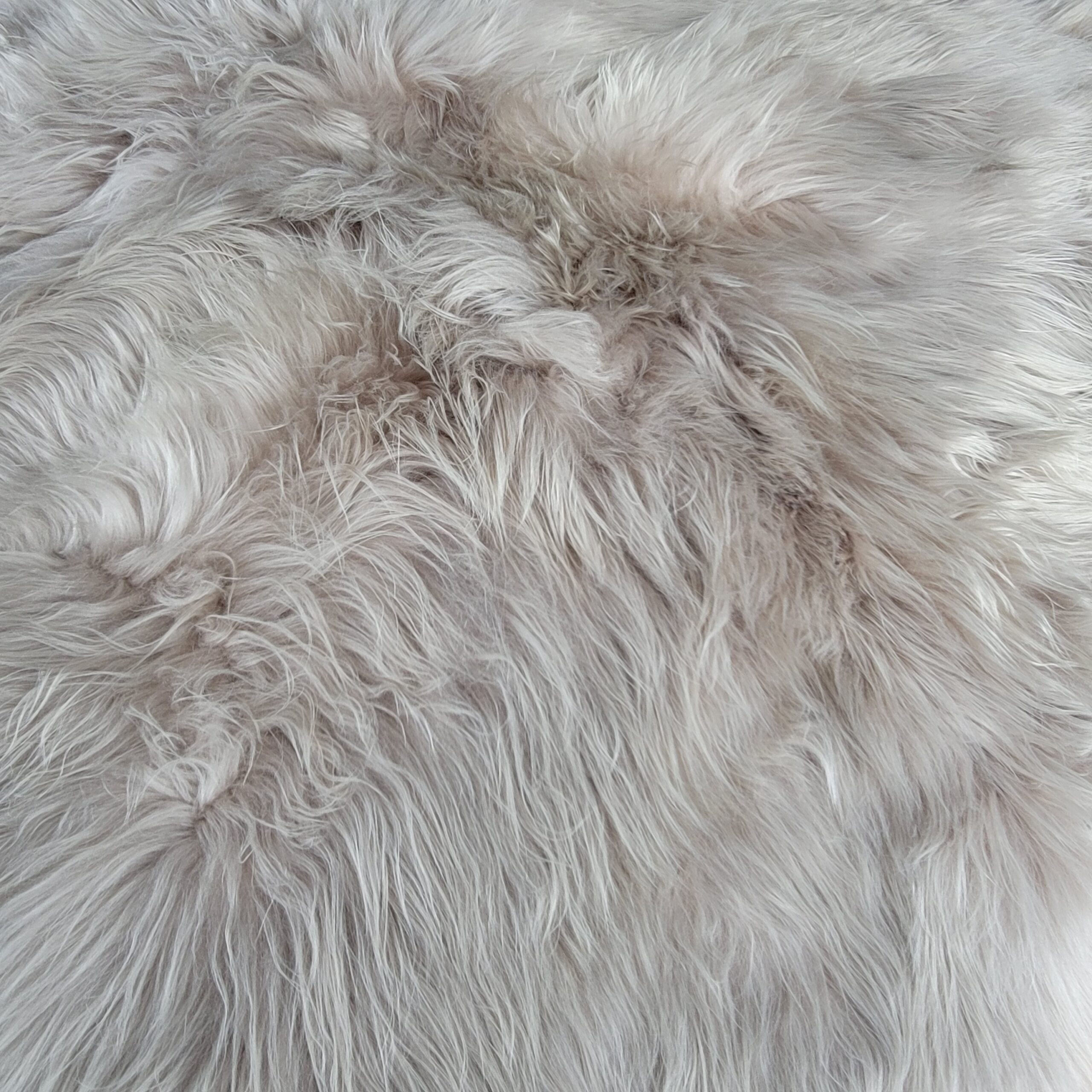 close-up picture showing the long thick pile and linen color of our Genuine thick pile sheepskin area rug made using 100% Icelandic fur hides