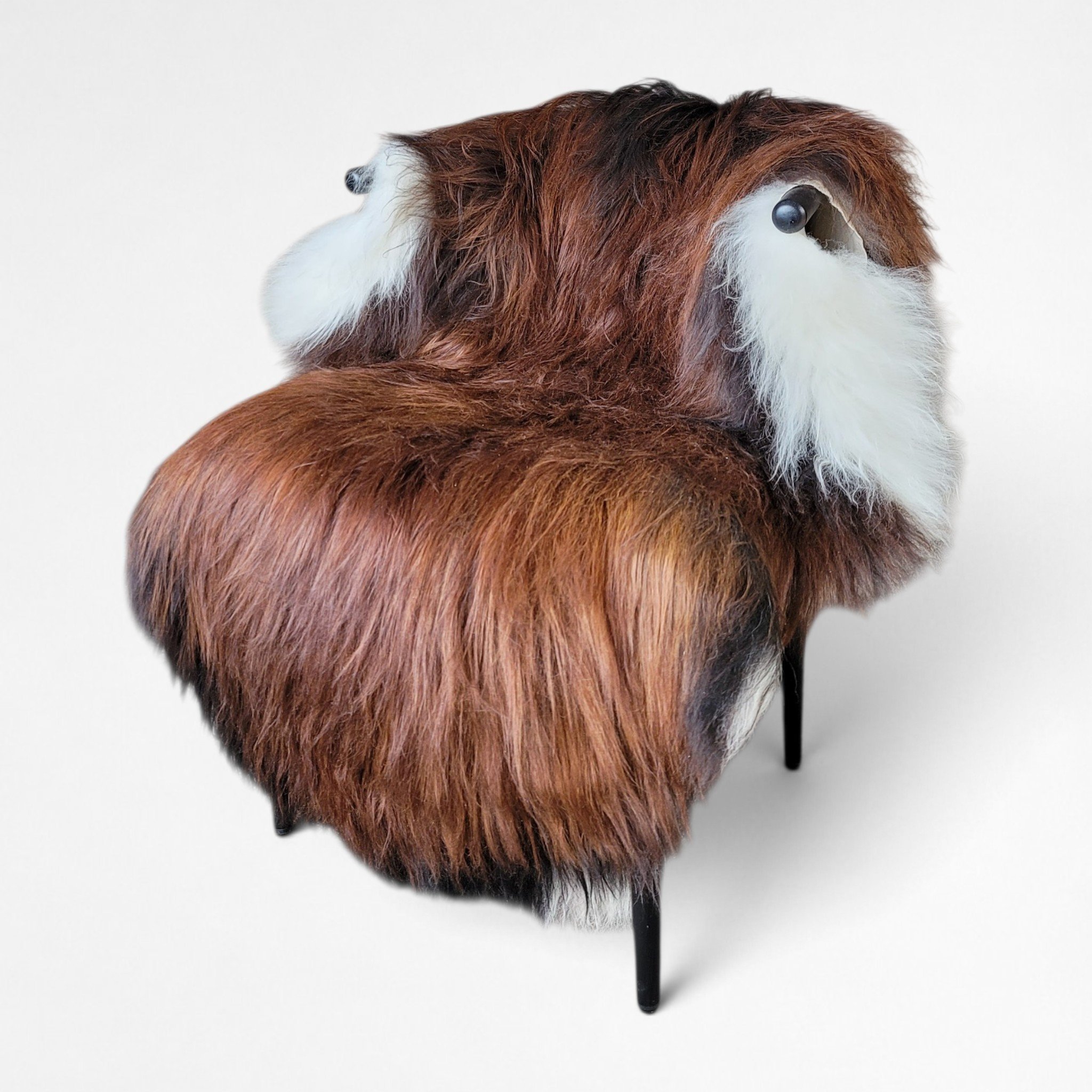 XXL Icelandic Sheepskin Brown + White Moorit 60" x 36"