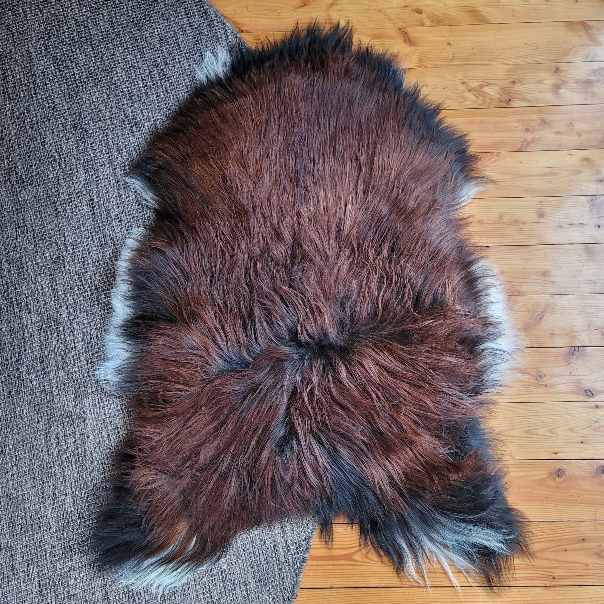 XXL Icelandic Sheepskin Brown + White Moorit 60" x 36" - Image 4