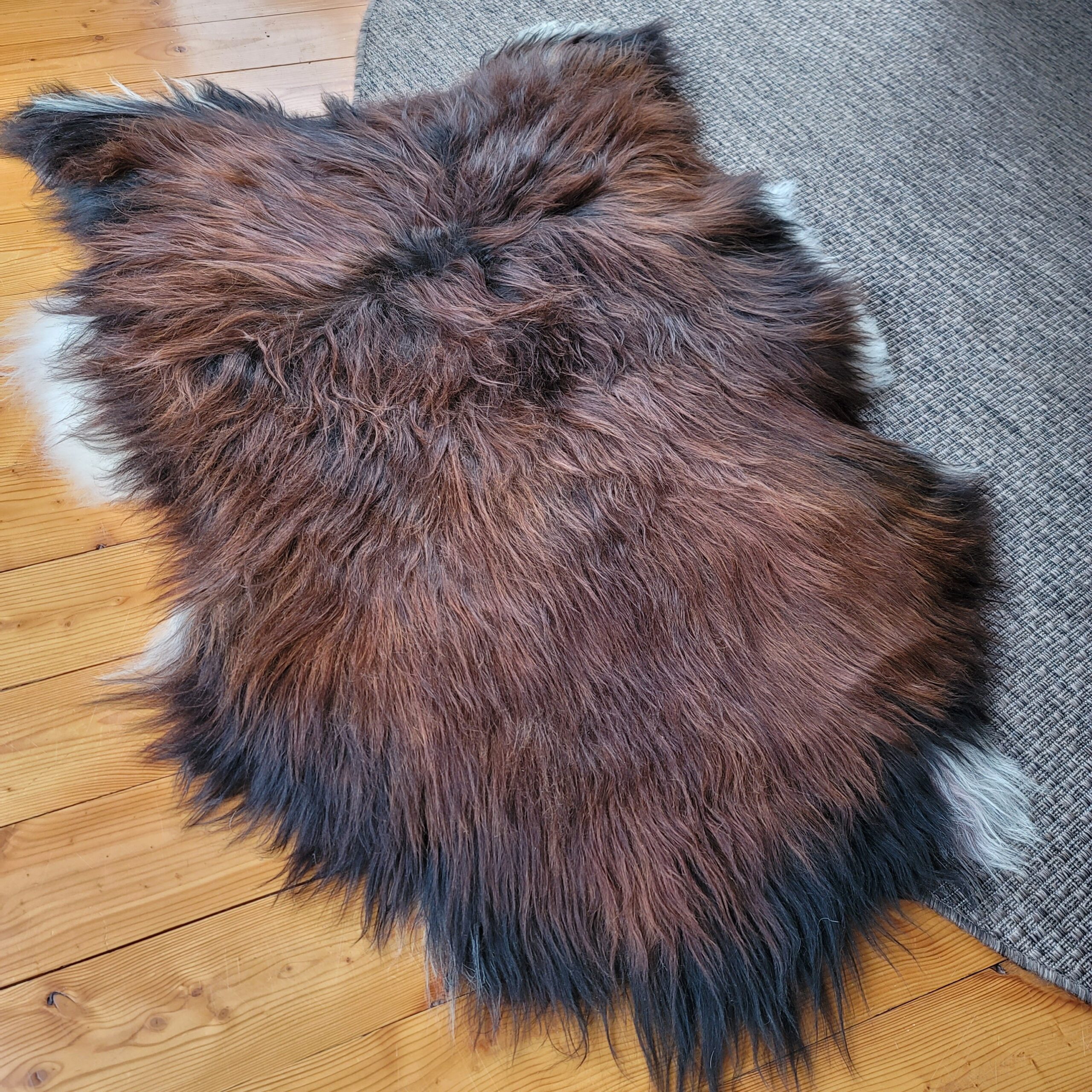 XXL Icelandic Sheepskin Brown + White Moorit 60" x 36" - Image 3