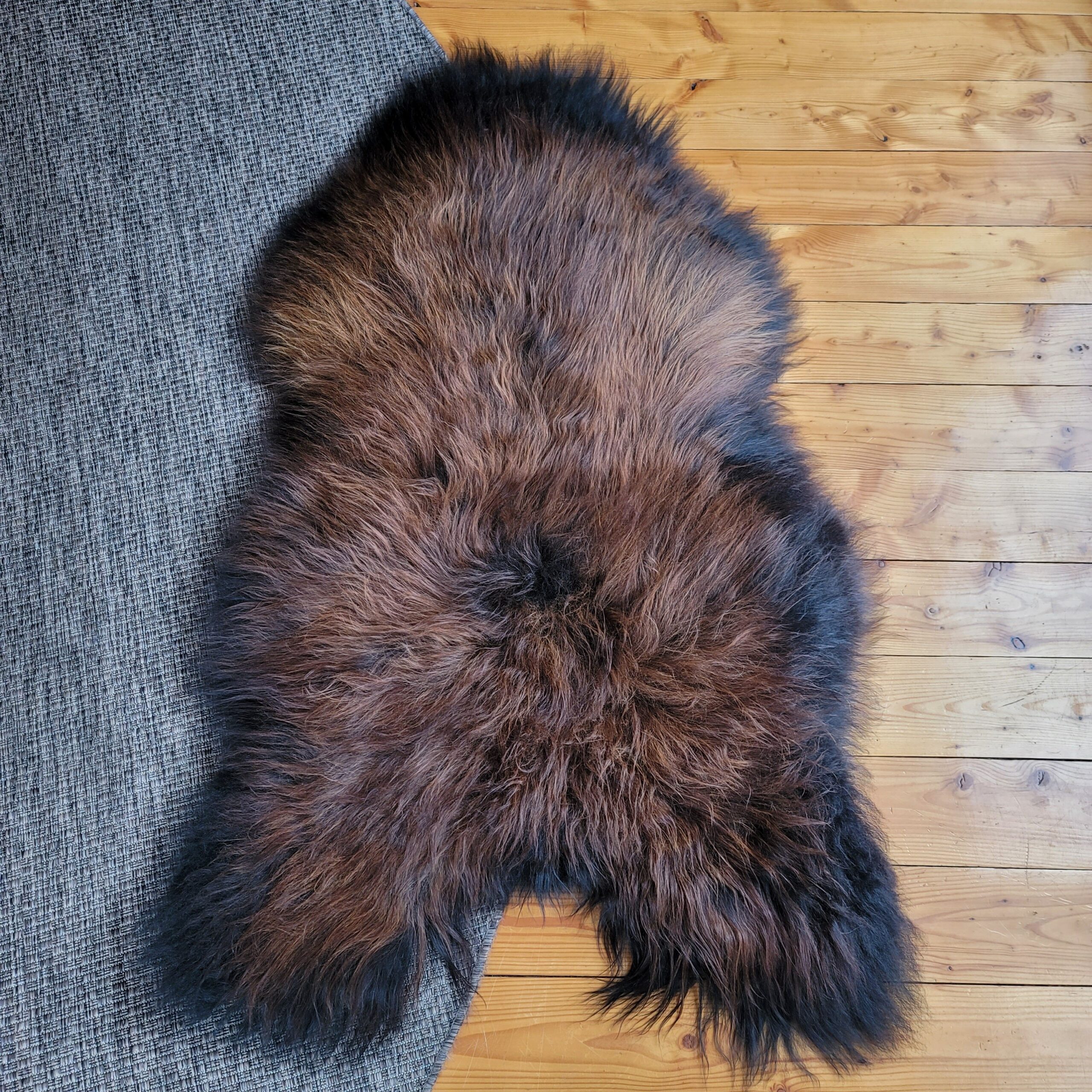 Heavy Lofty XL Icelandic Sheepskin Moorit 56" x 36" - Image 4
