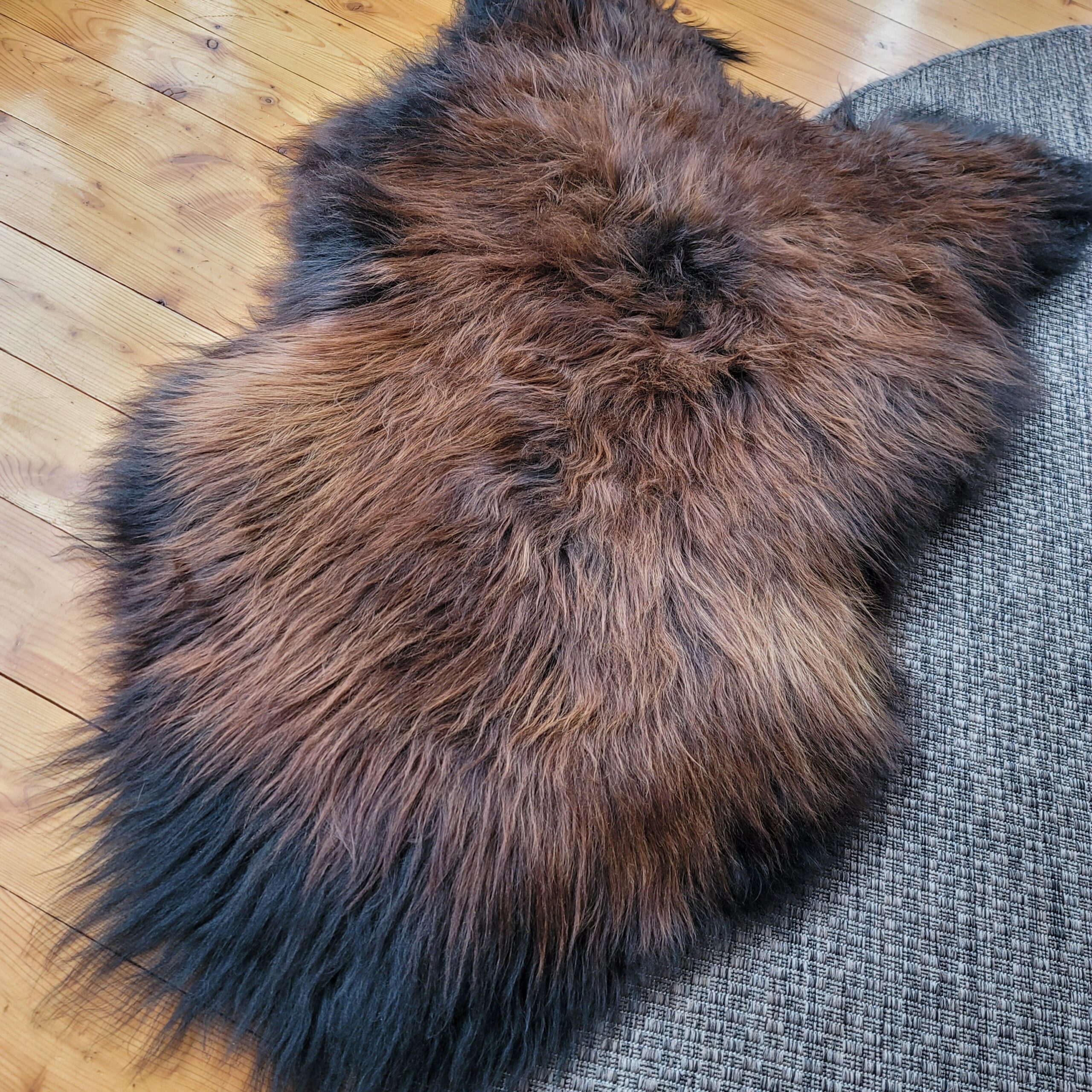 Heavy Lofty XL Icelandic Sheepskin Moorit 56" x 36" - Image 3