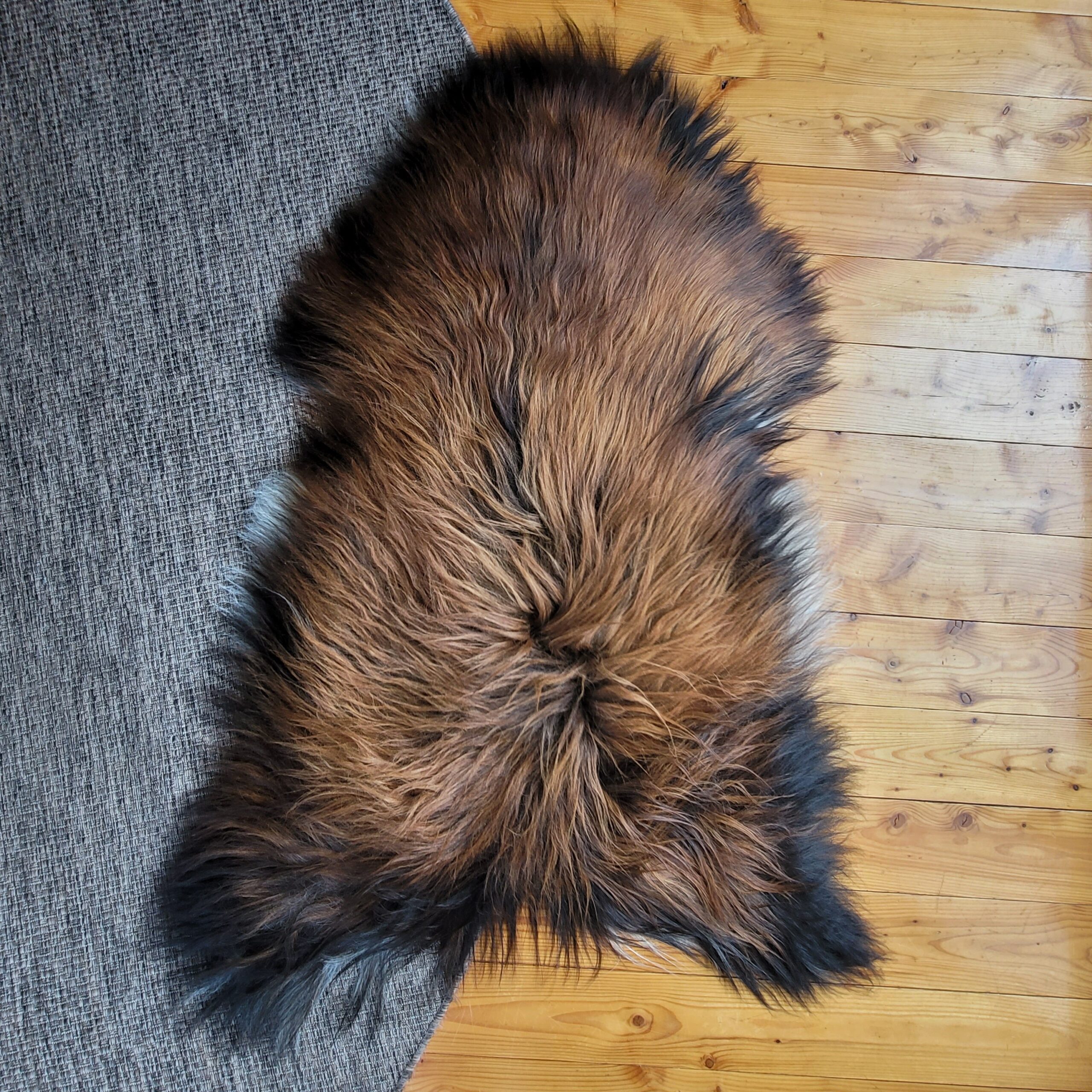 XXL Icelandic Sheepskin Tri-Color Moorit 58" x 37" - Image 4