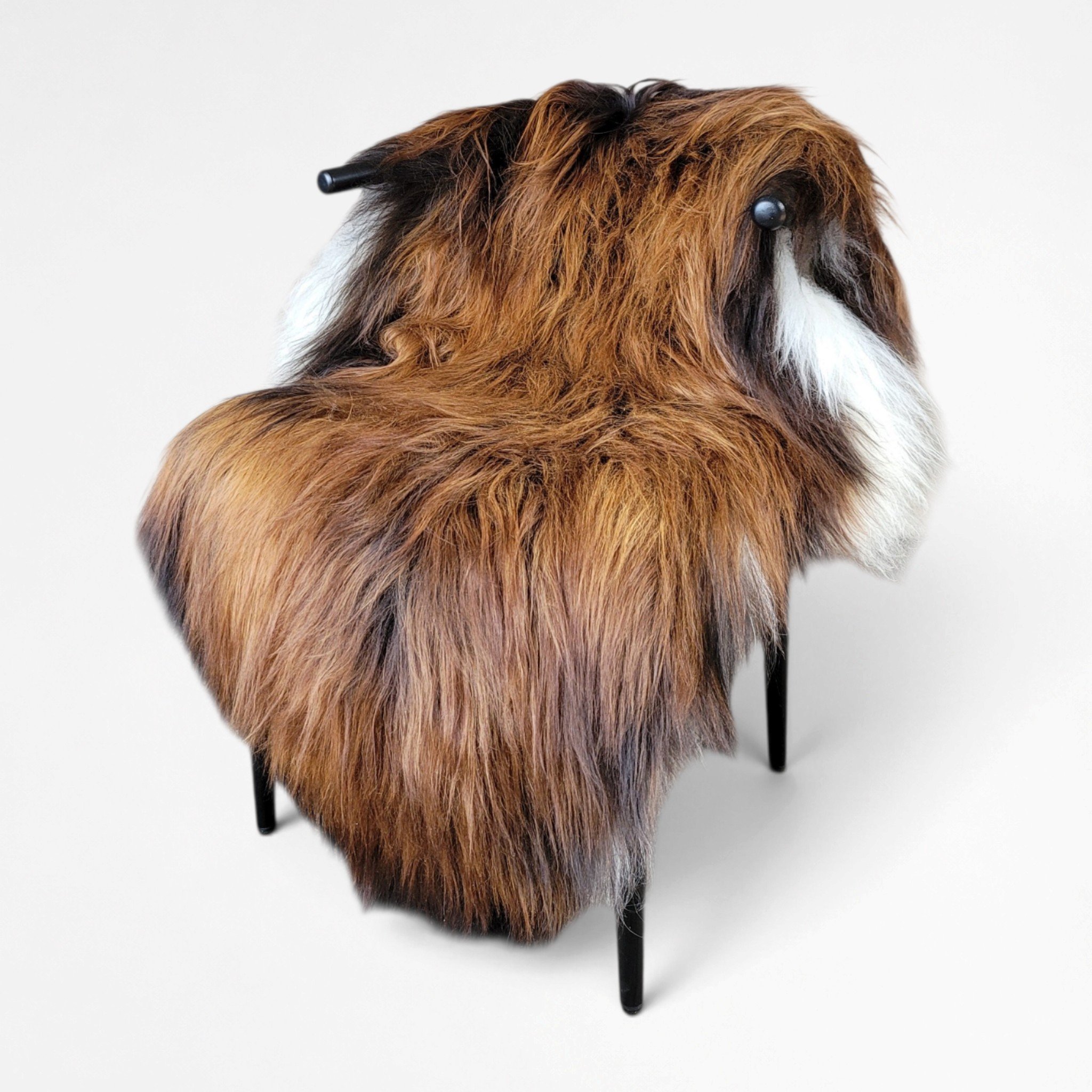 XXL Icelandic Sheepskin Tri-Color Moorit 58" x 37"