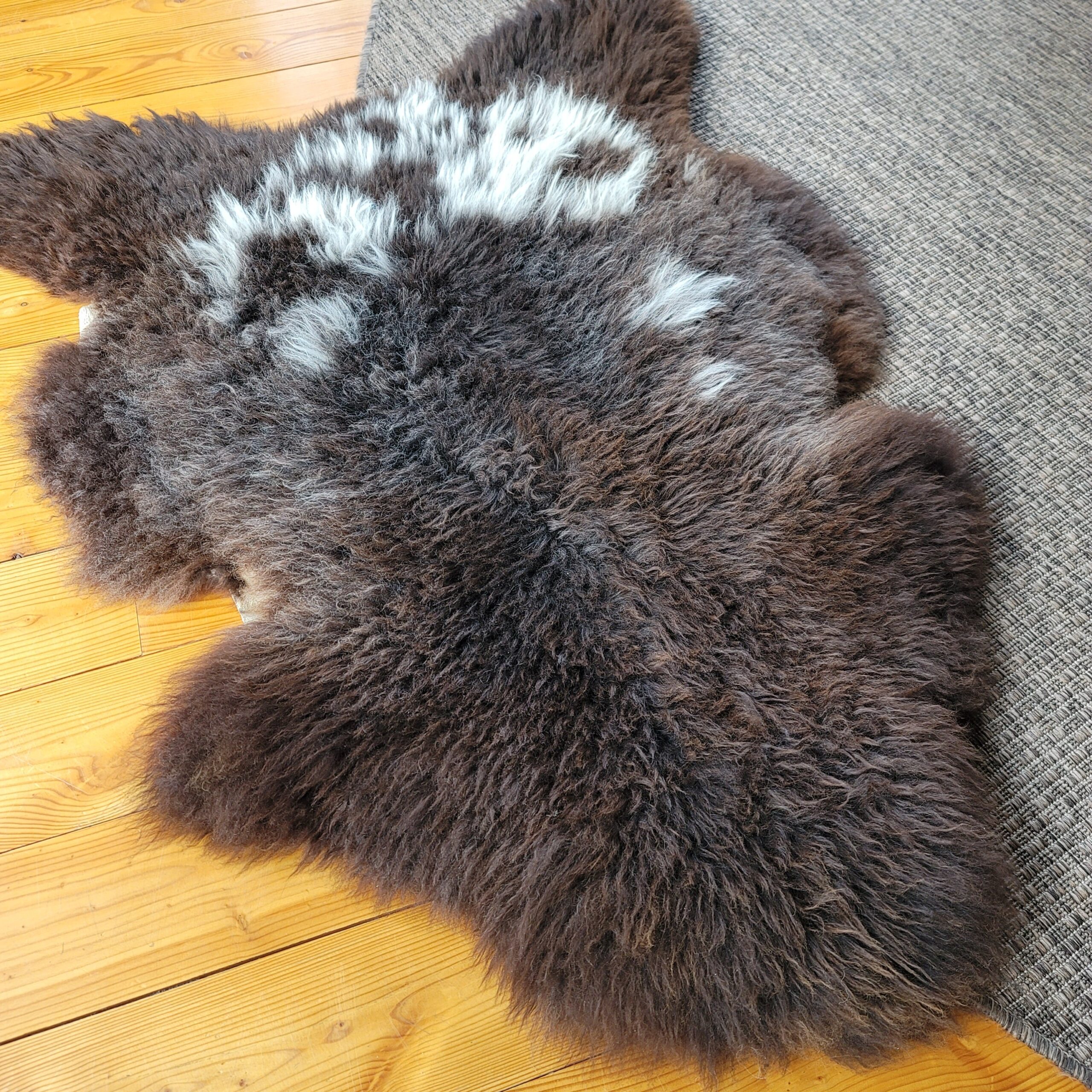Rare Breed British Sheepskin Rug – Dense Brown & Gray Wool with White Flecks 47" x 34" - Image 3