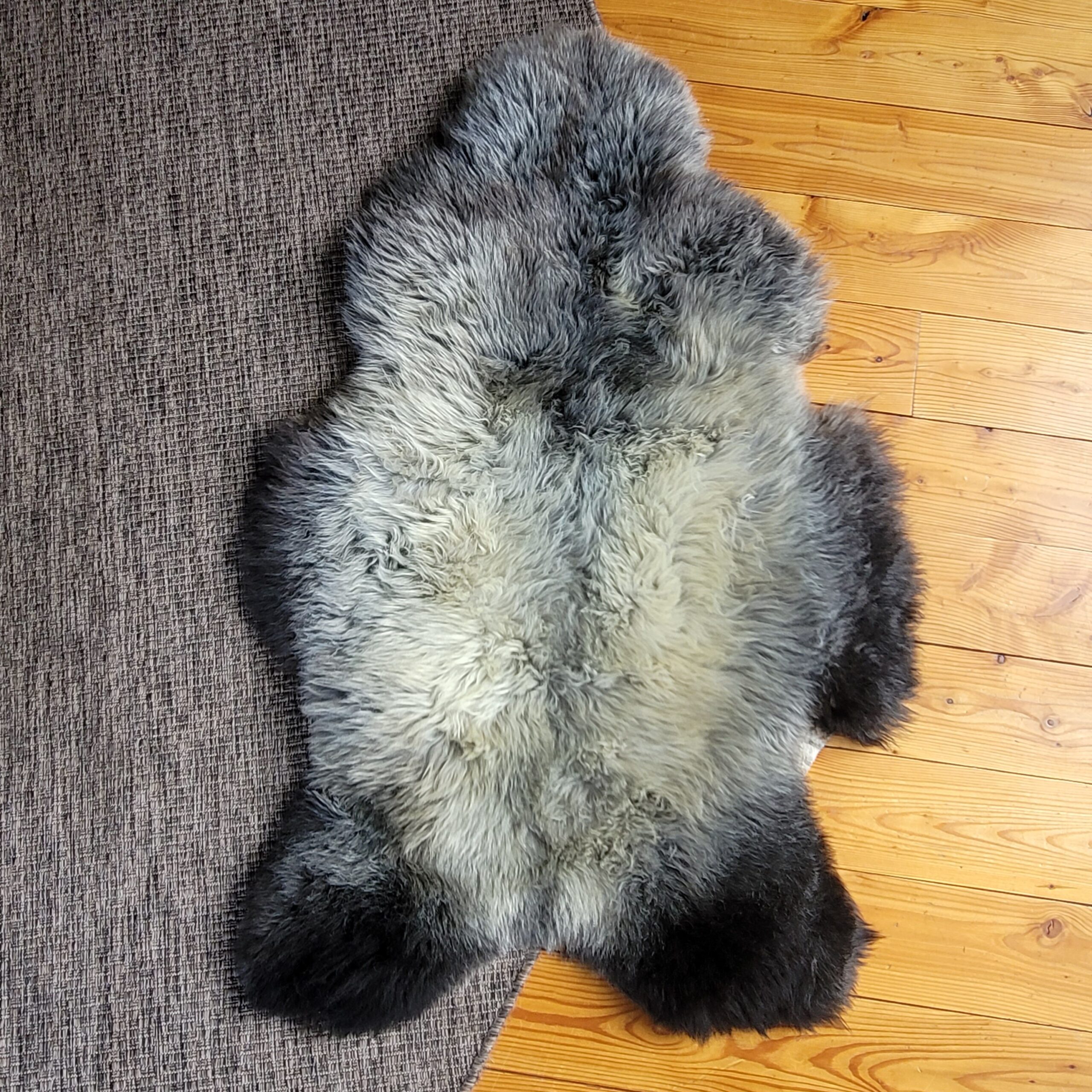 Rare Breed British Sheepskin Rug – Plush Natural Gray Wool 46" x 28" - Image 4