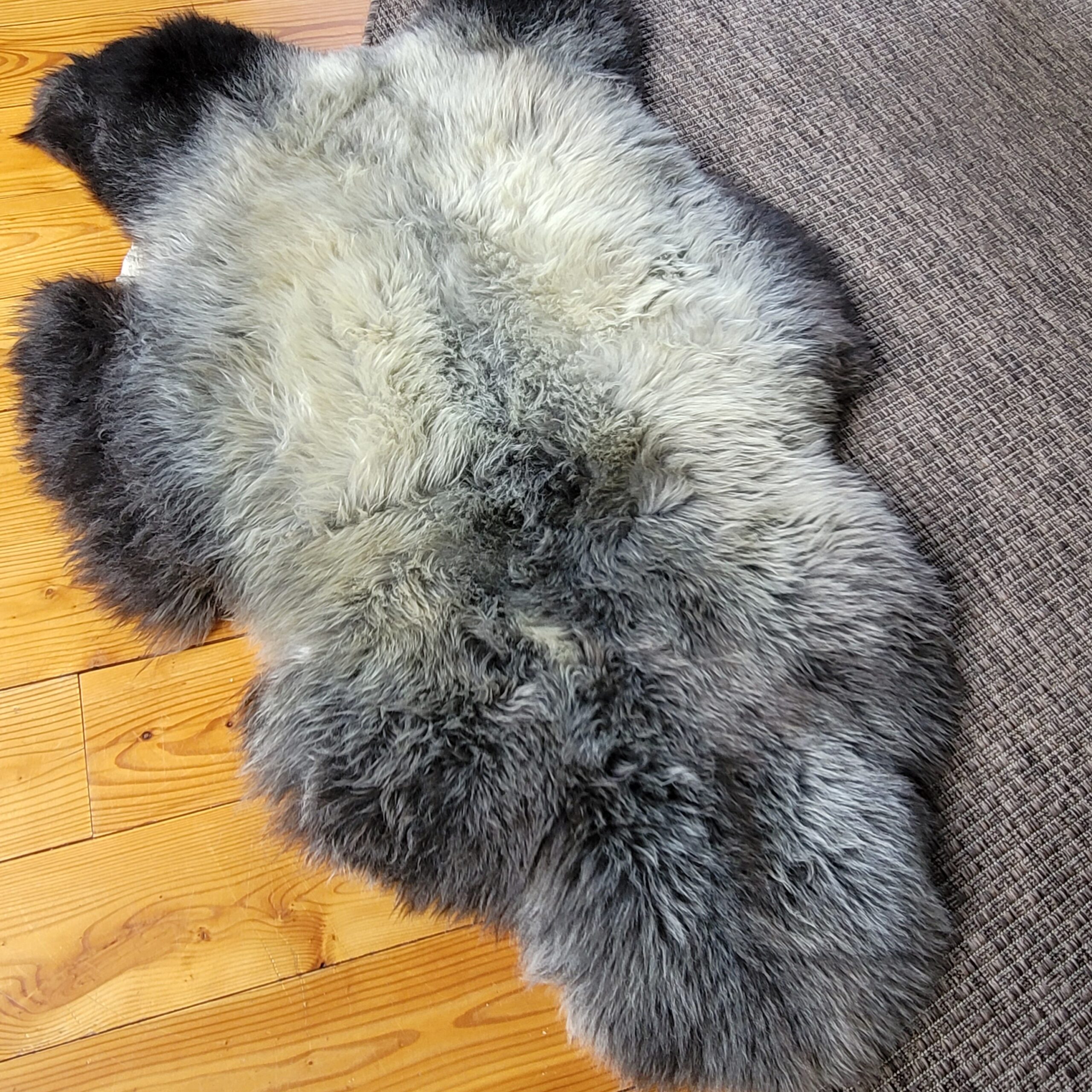 Rare Breed British Sheepskin Rug – Plush Natural Gray Wool 46" x 28" - Image 3