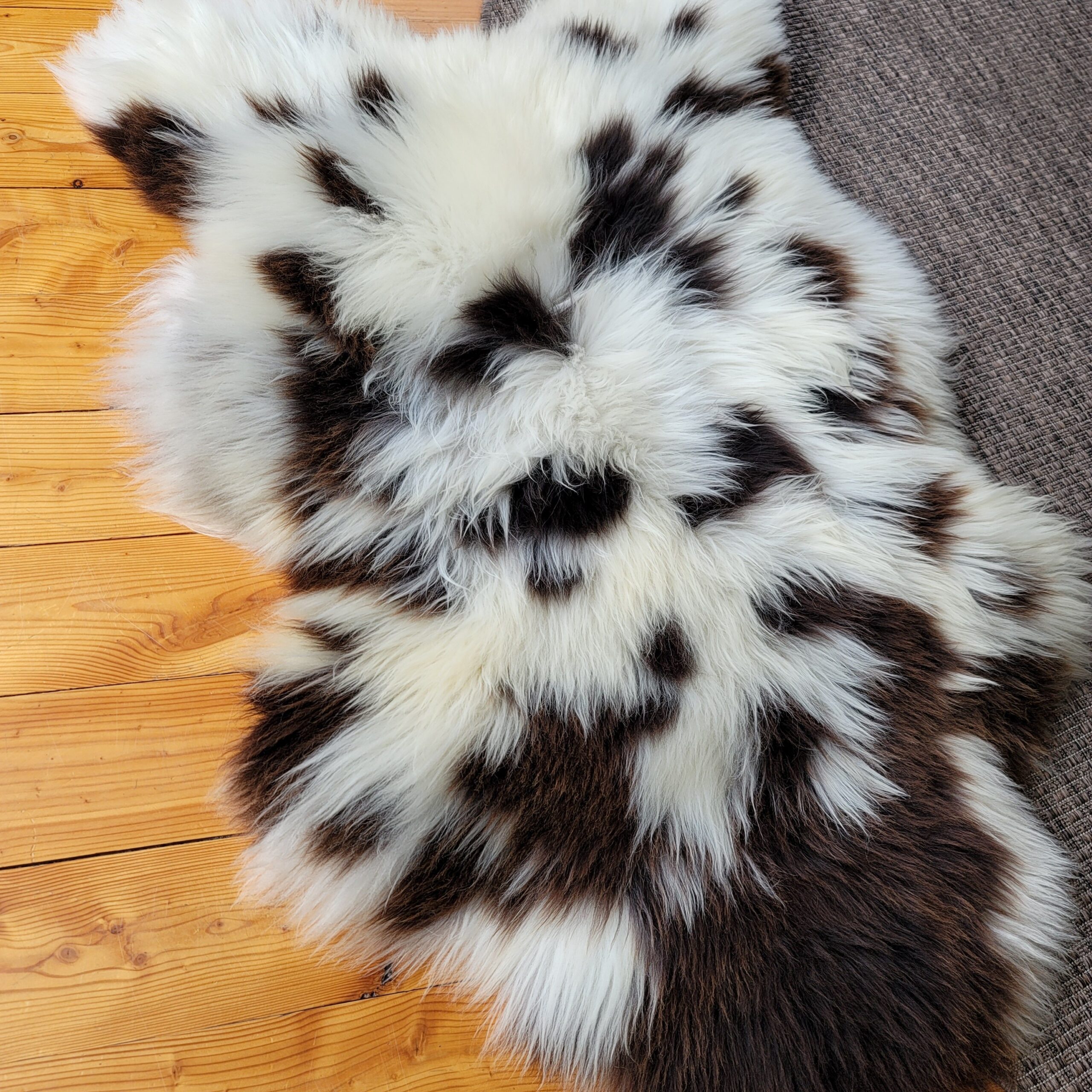 Rare Breed British Sheepskin Rug – Plush White with Brown Spot 49" x 32" - Image 3