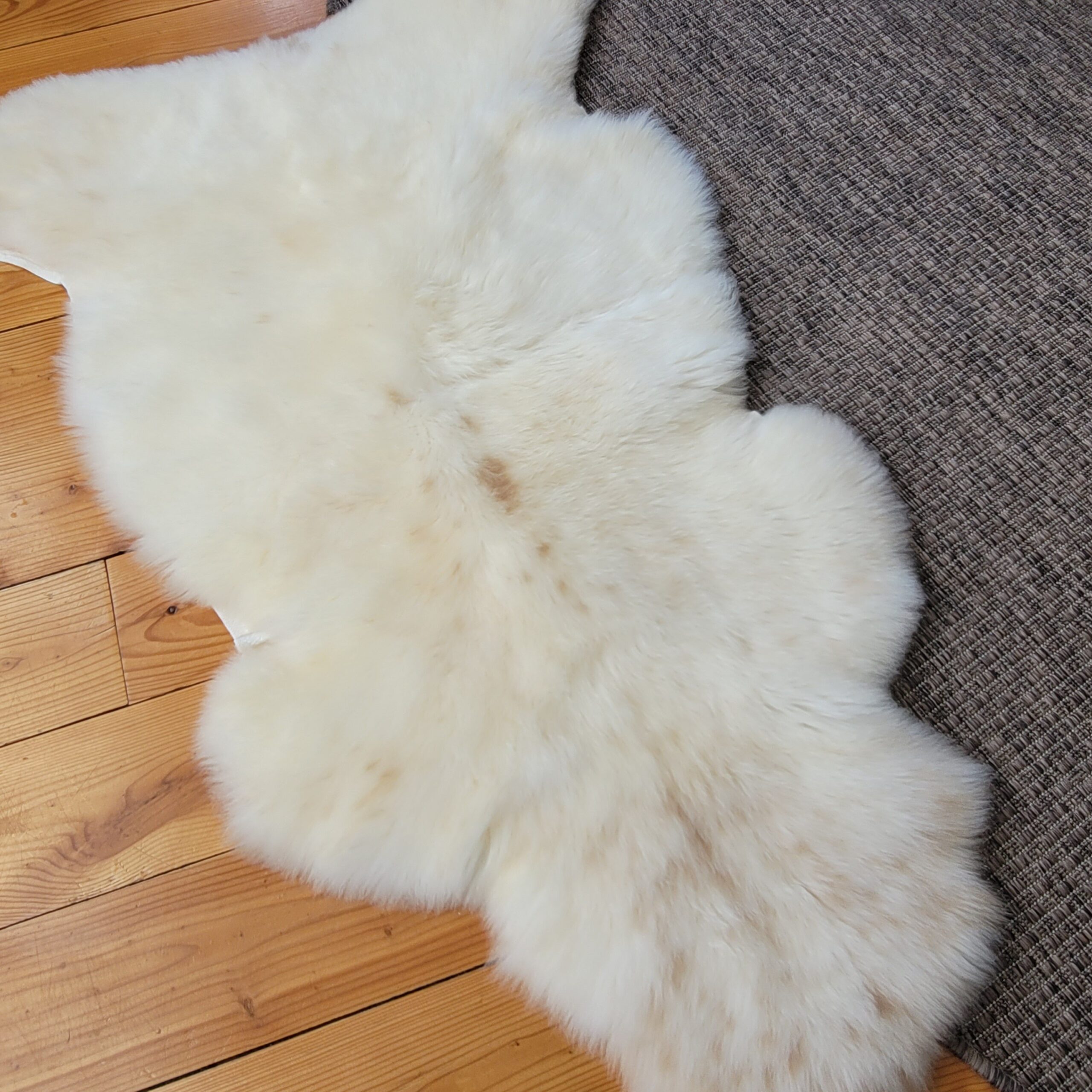 Rare Breed Portland Sheepskin Throw – Light Cream with Tan Spots 48" x 30" - Image 4