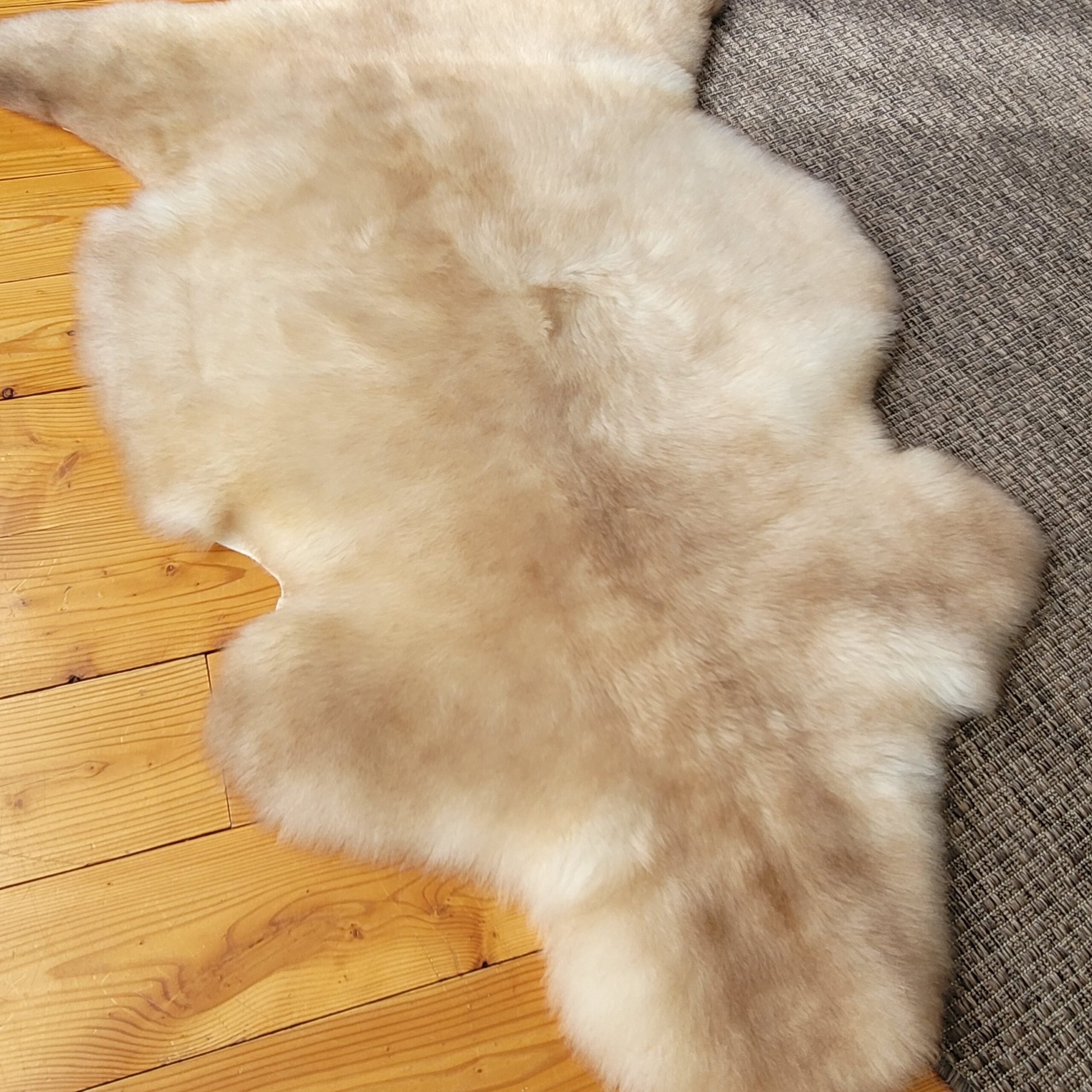 Rare Breed Portland Sheepskin Throw – Light Beige 47" x 31" - Image 4