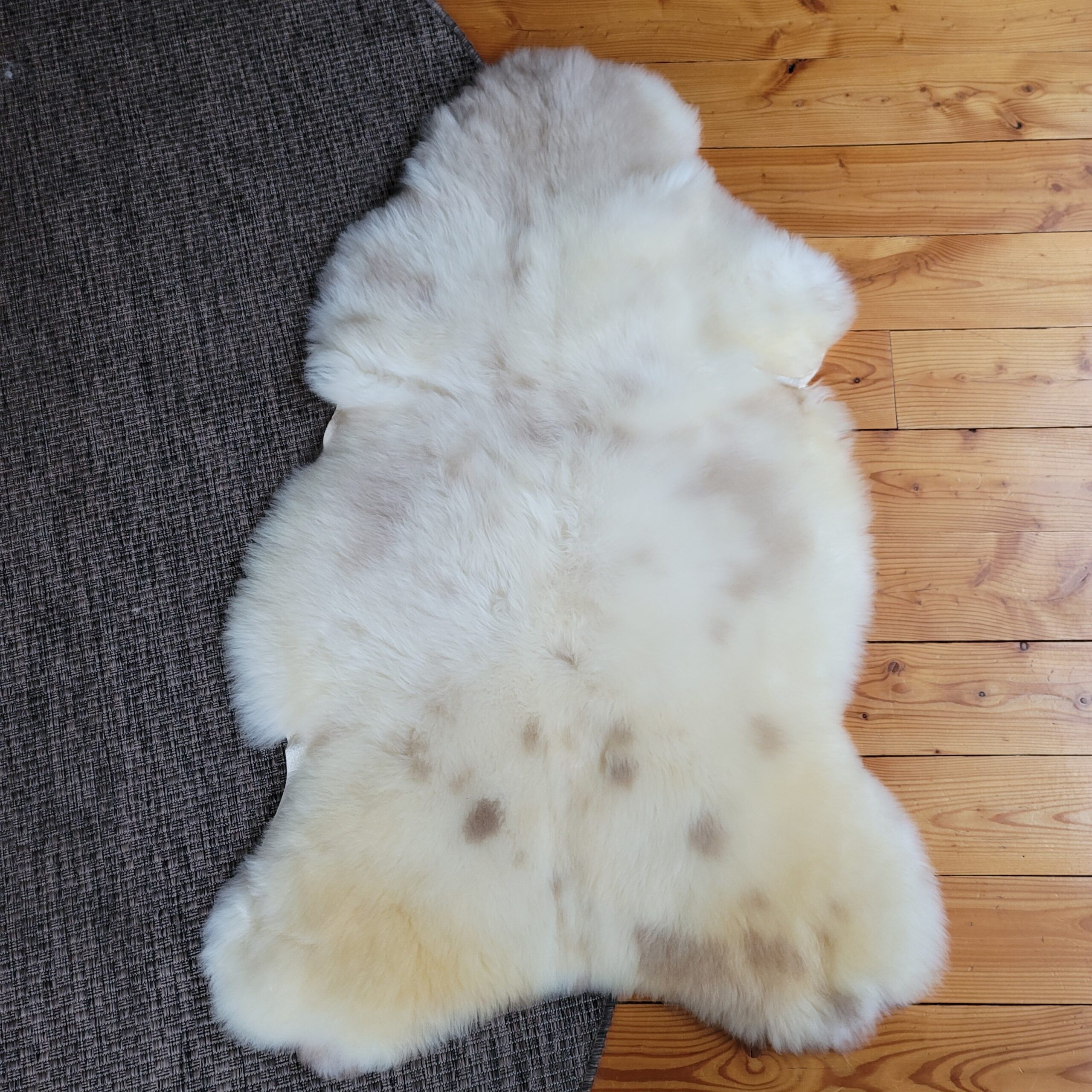 Cream & Mottled Tan Portland Sheepskin Rug 49″ x 31″ - Image 4