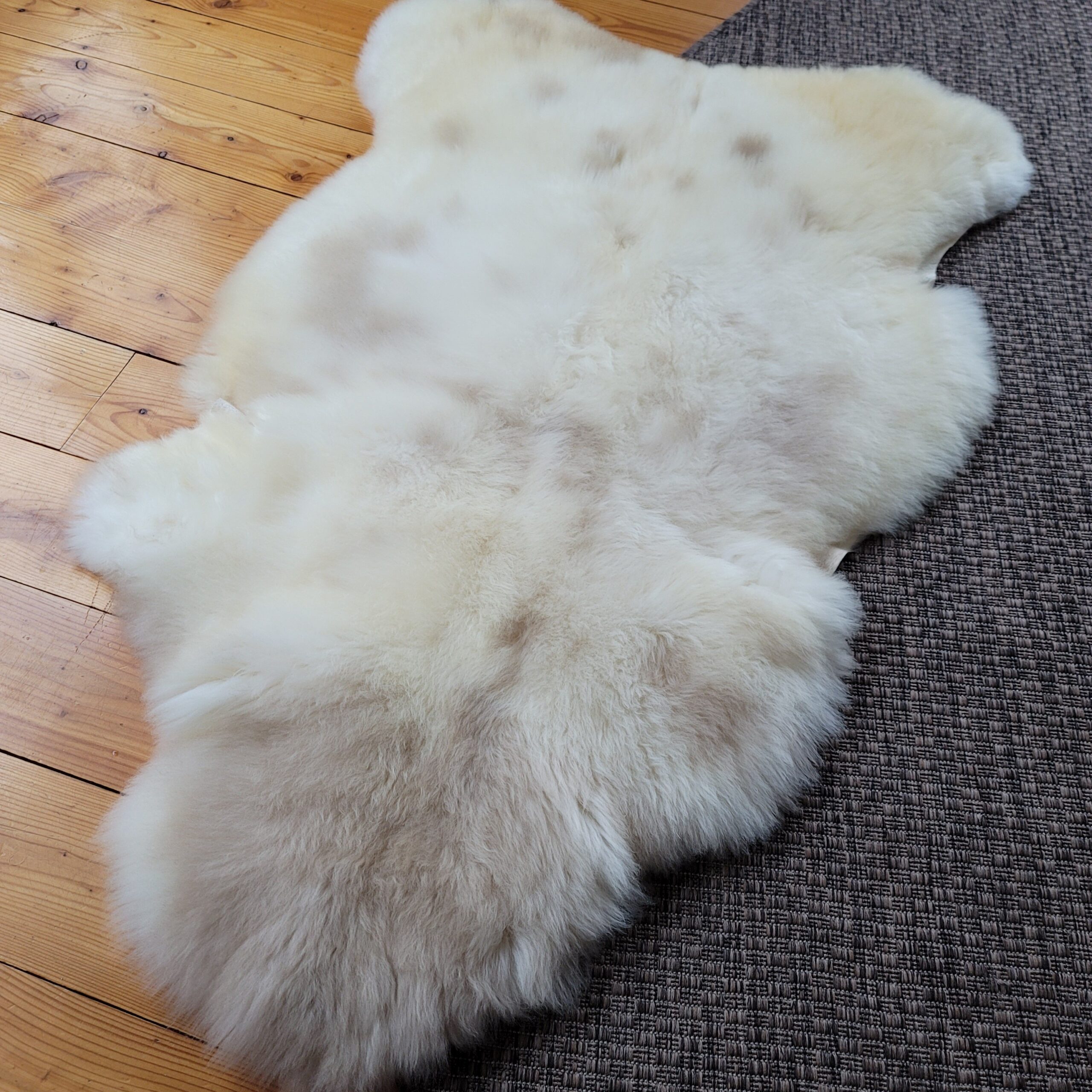 Cream & Mottled Tan Portland Sheepskin Rug 49″ x 31″ - Image 3