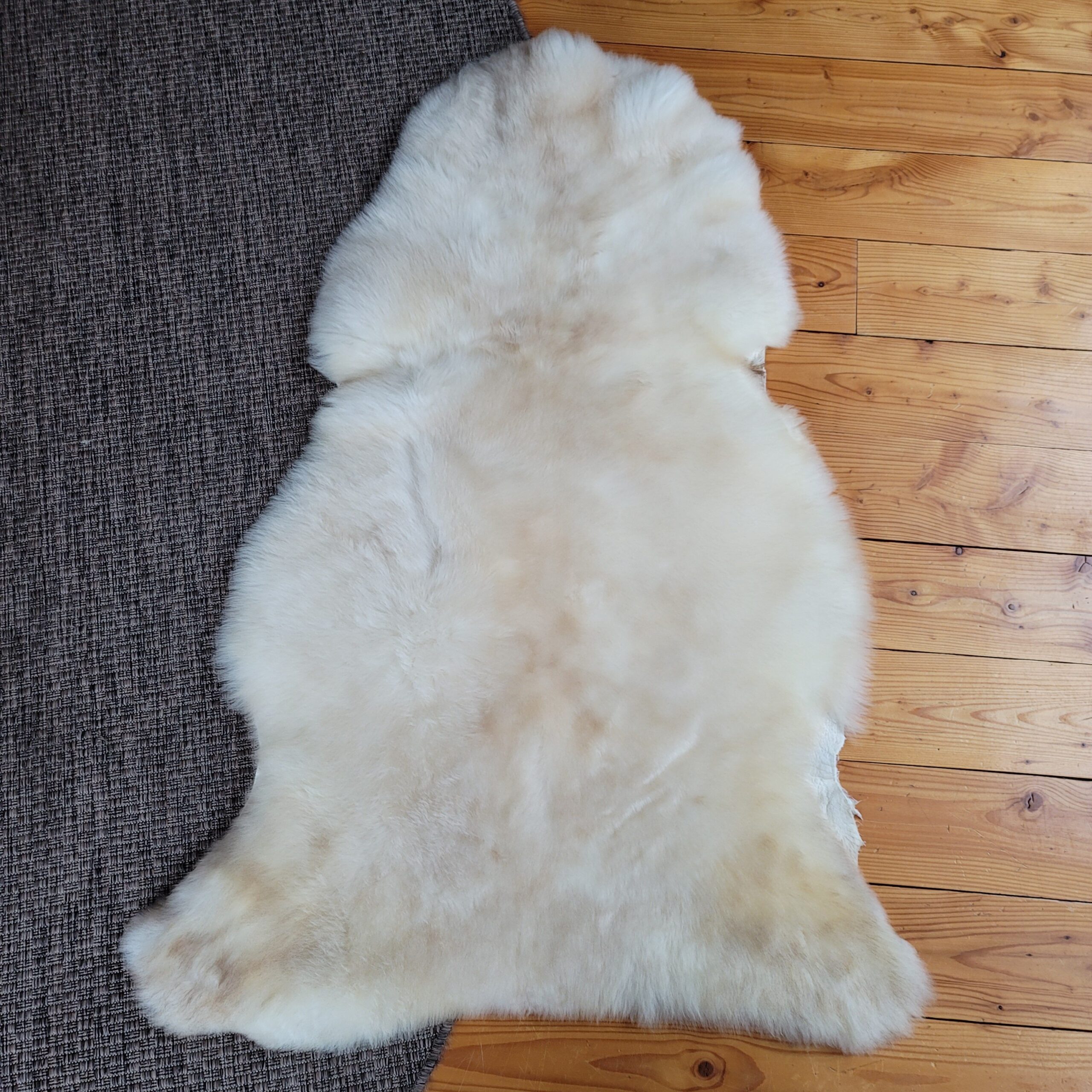 Cream & Light Tan Portland Sheepskin Rug 48″ x 31″ - Image 3