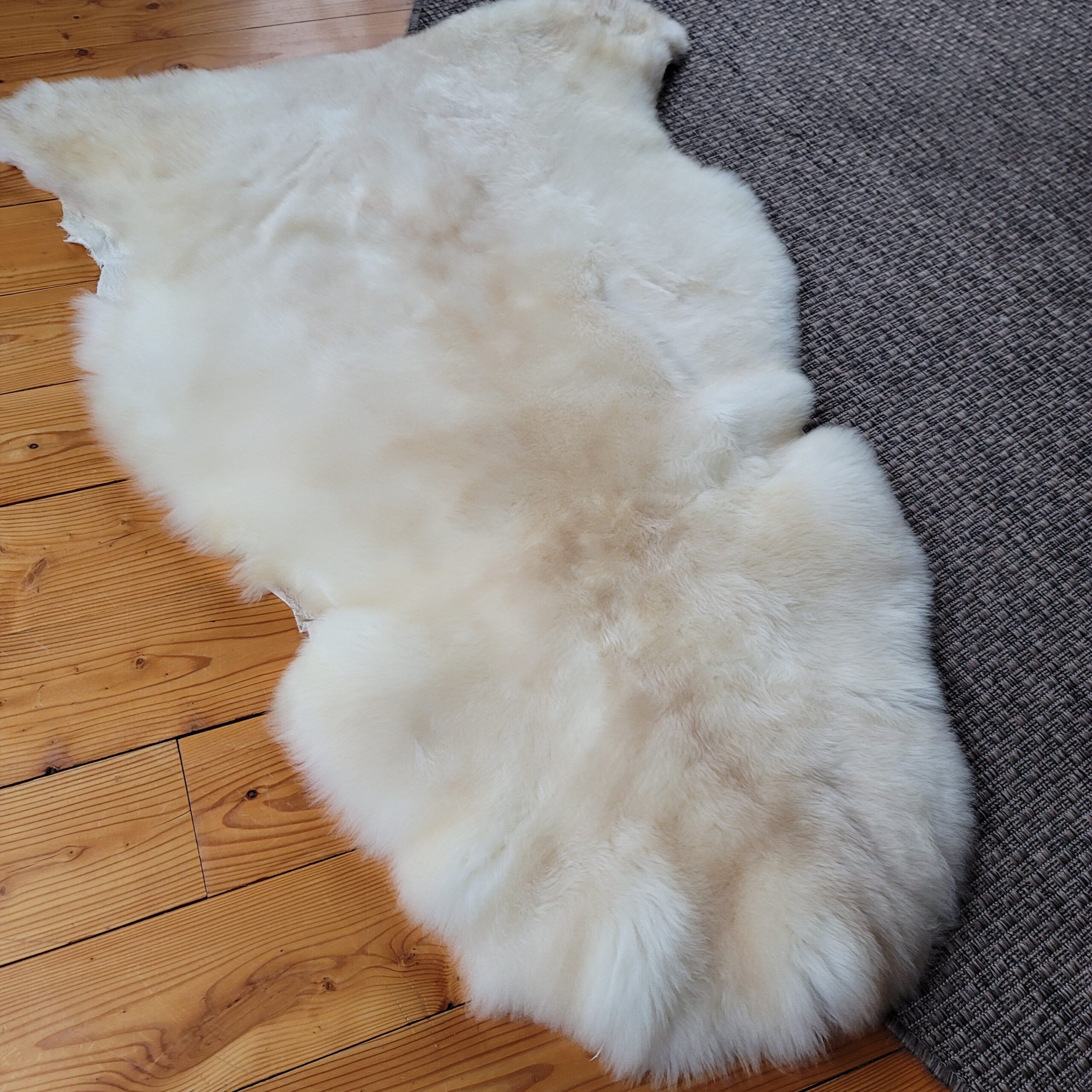 Cream & Light Tan Portland Sheepskin Rug 48″ x 31″ - Image 4