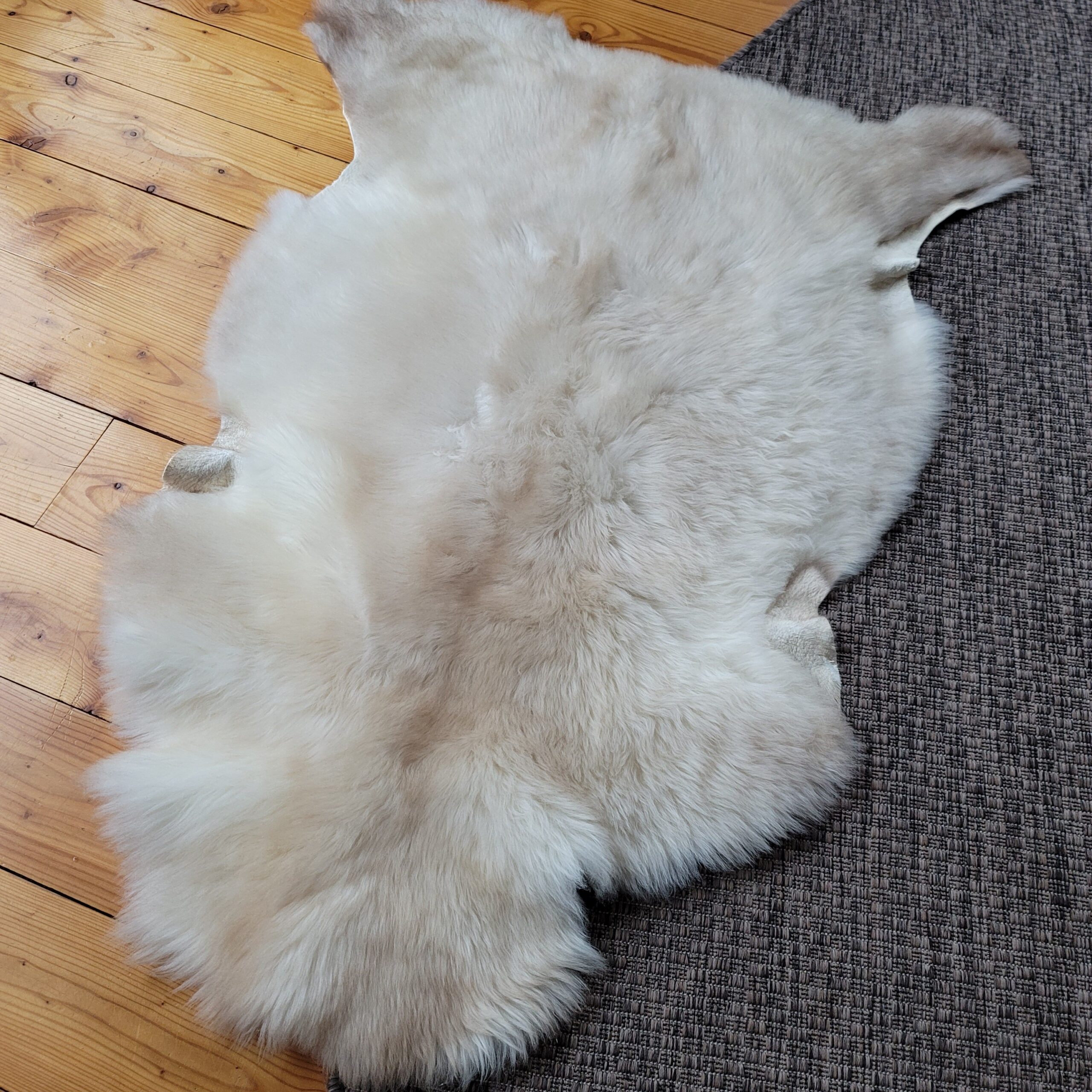 Ivory & Light Taupe Portland Sheepskin Rug 47″ x 32″ - Image 4