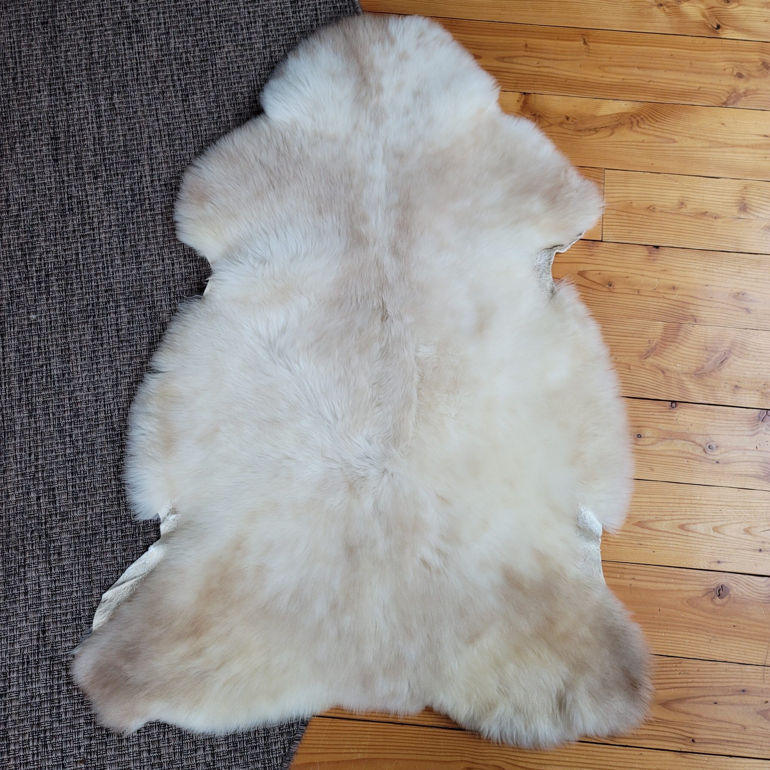 Ivory & Mushroom Beige Portland Sheepskin Rug 47″ x 33″ - Image 4