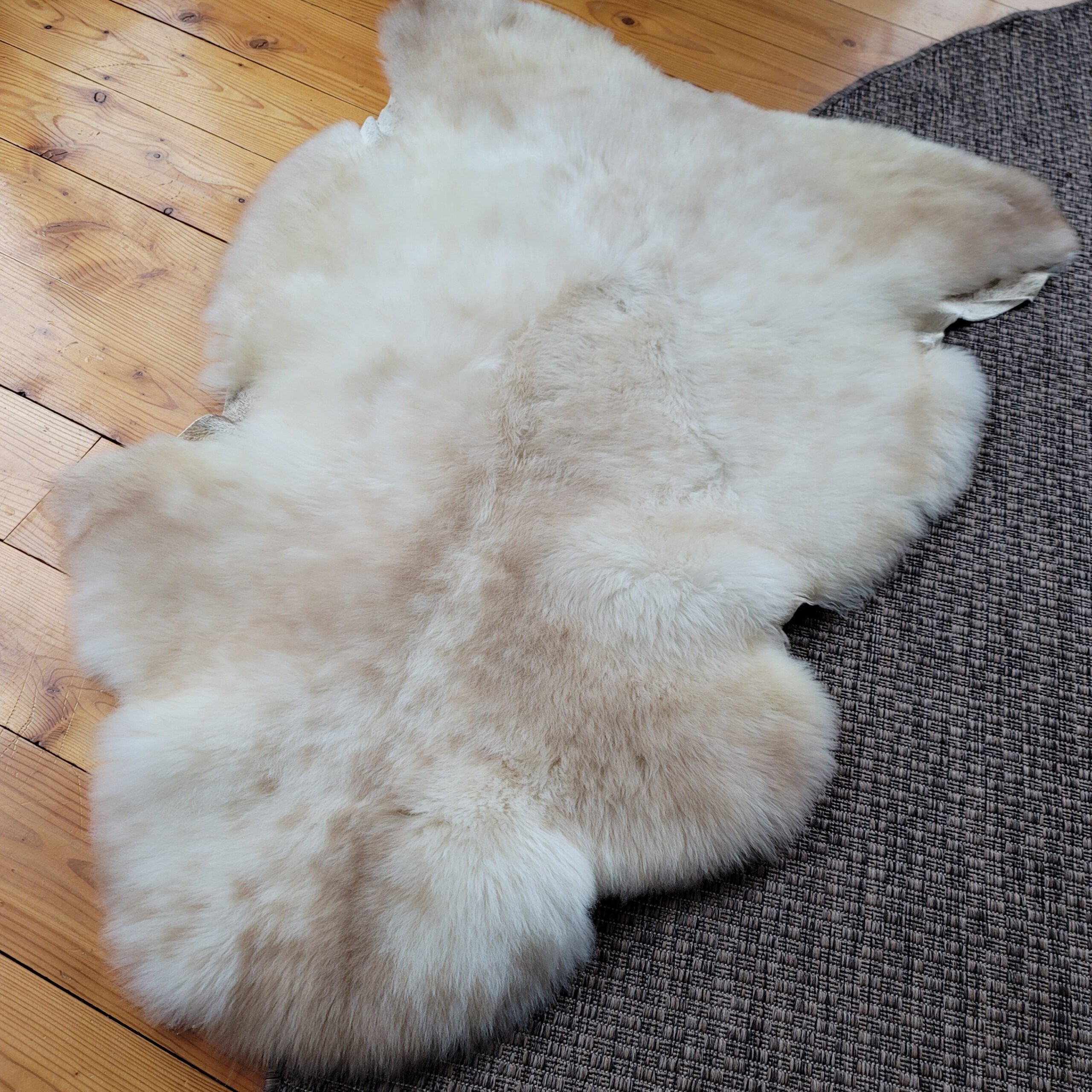 Ivory & Mushroom Beige Portland Sheepskin Rug 47″ x 33″