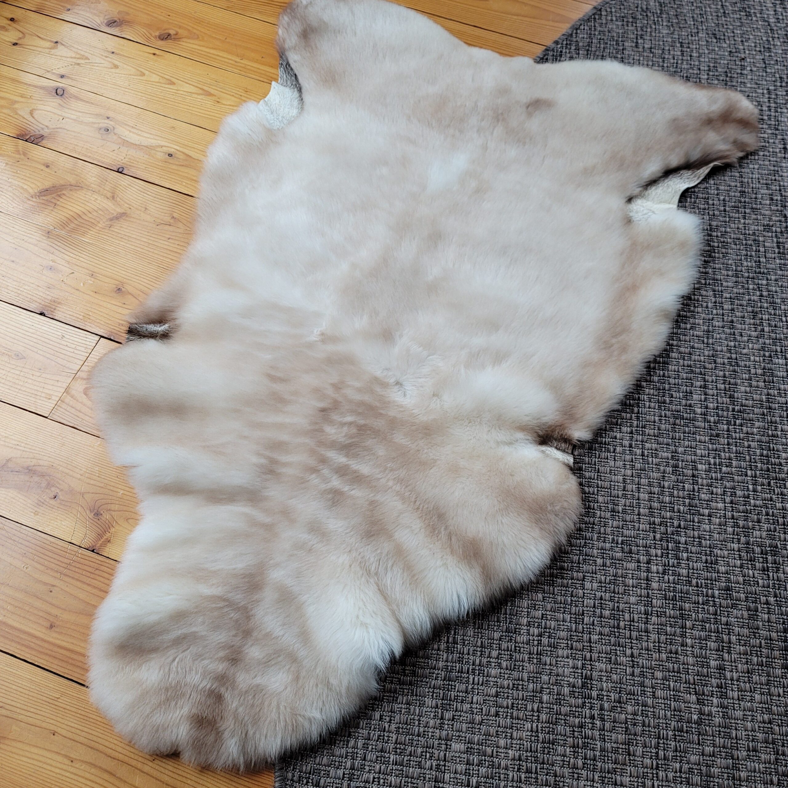 Ivory & Fawn Taupe Portland Sheepskin Rug 48″ x 32″ - Image 3