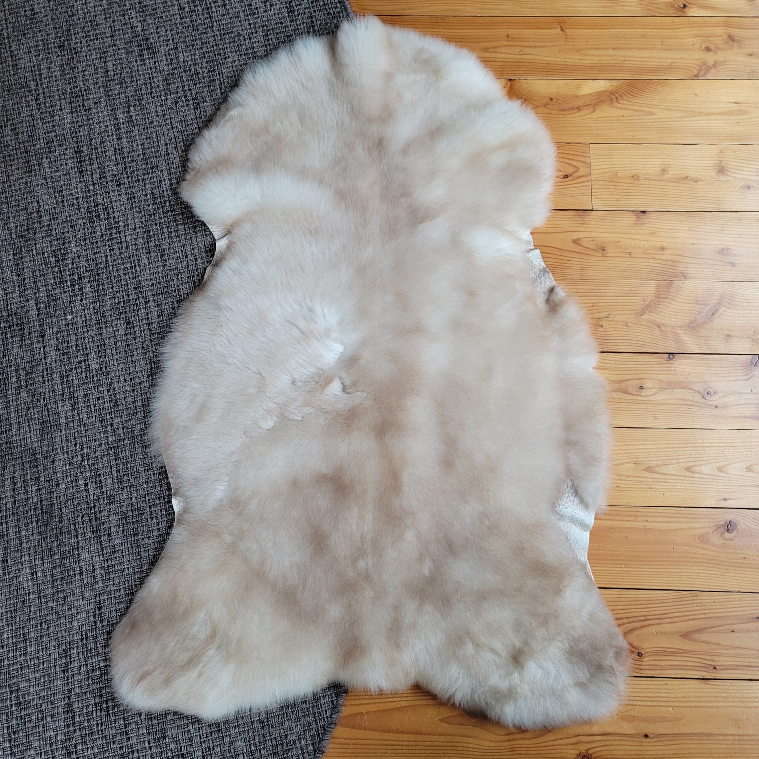 Soft Taupe & Ivory Portland Sheepskin Rug 47″ x 31″ - Image 4