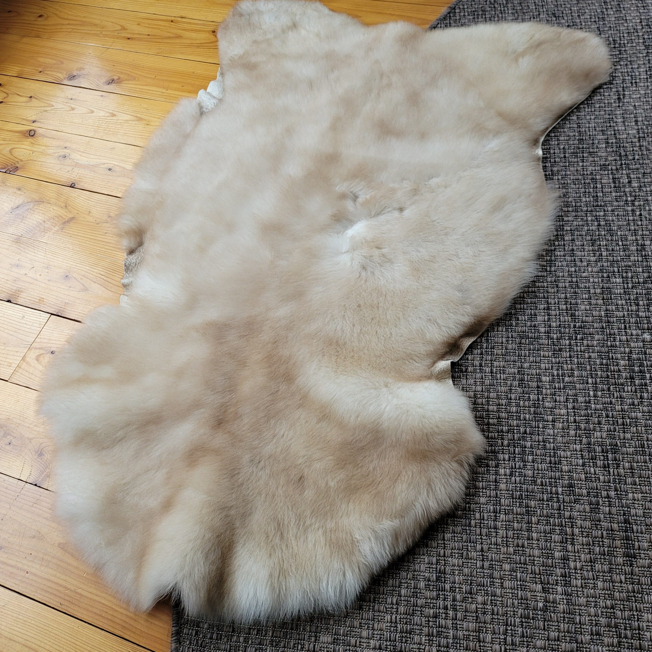 Soft Taupe & Ivory Portland Sheepskin Rug 47″ x 31″ - Image 3