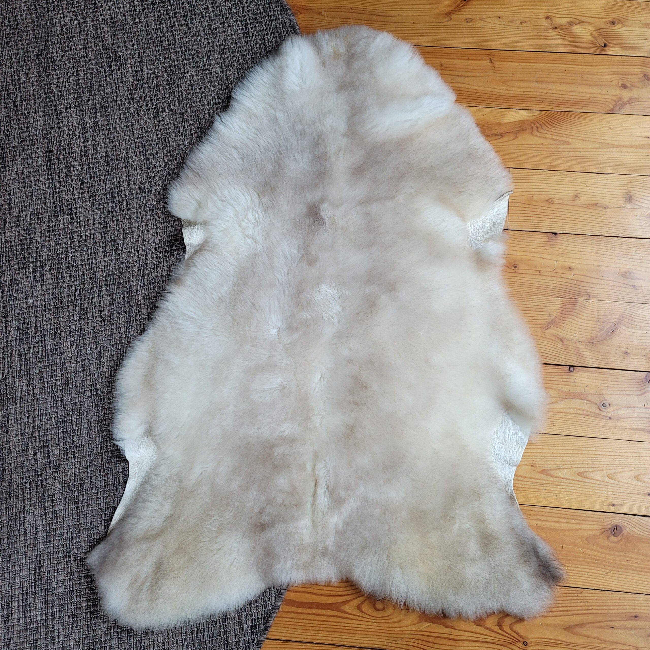 Ivory & Silver Greige Portland Sheepskin Rug 47″ x 32″ - Image 4