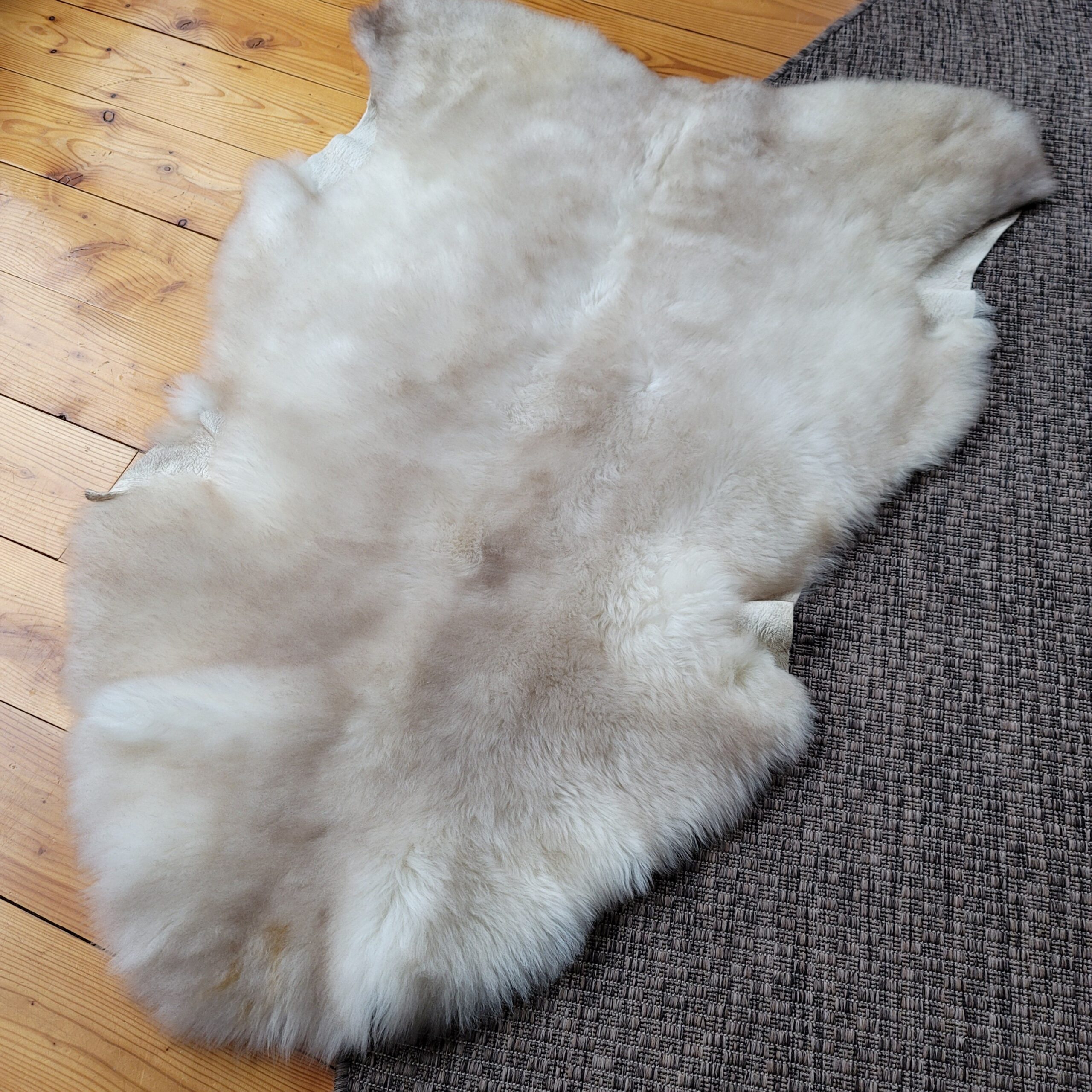 Ivory & Silver Greige Portland Sheepskin Rug 47″ x 32″