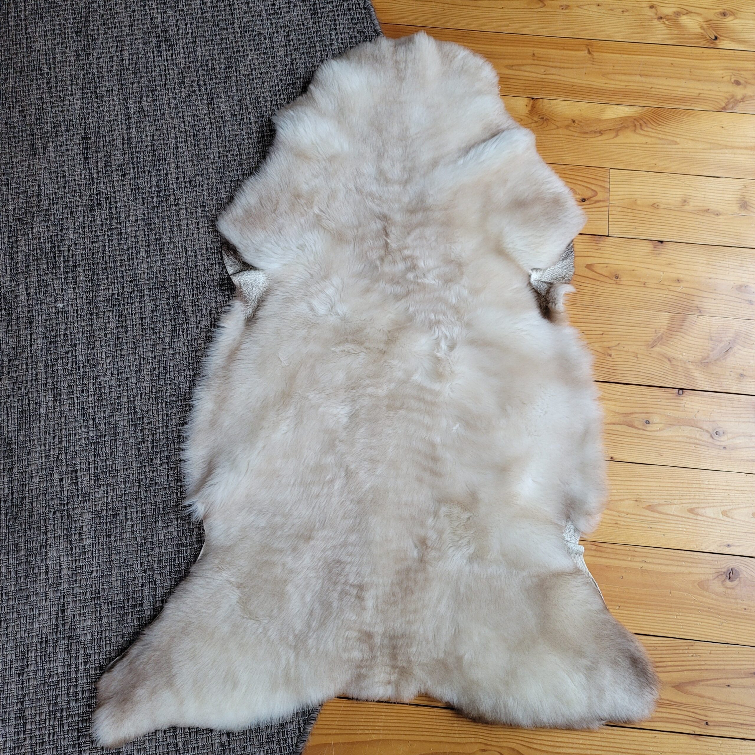 Pearl Greige & Ivory Portland Sheepskin Throw 48″ x 32″ - Image 4
