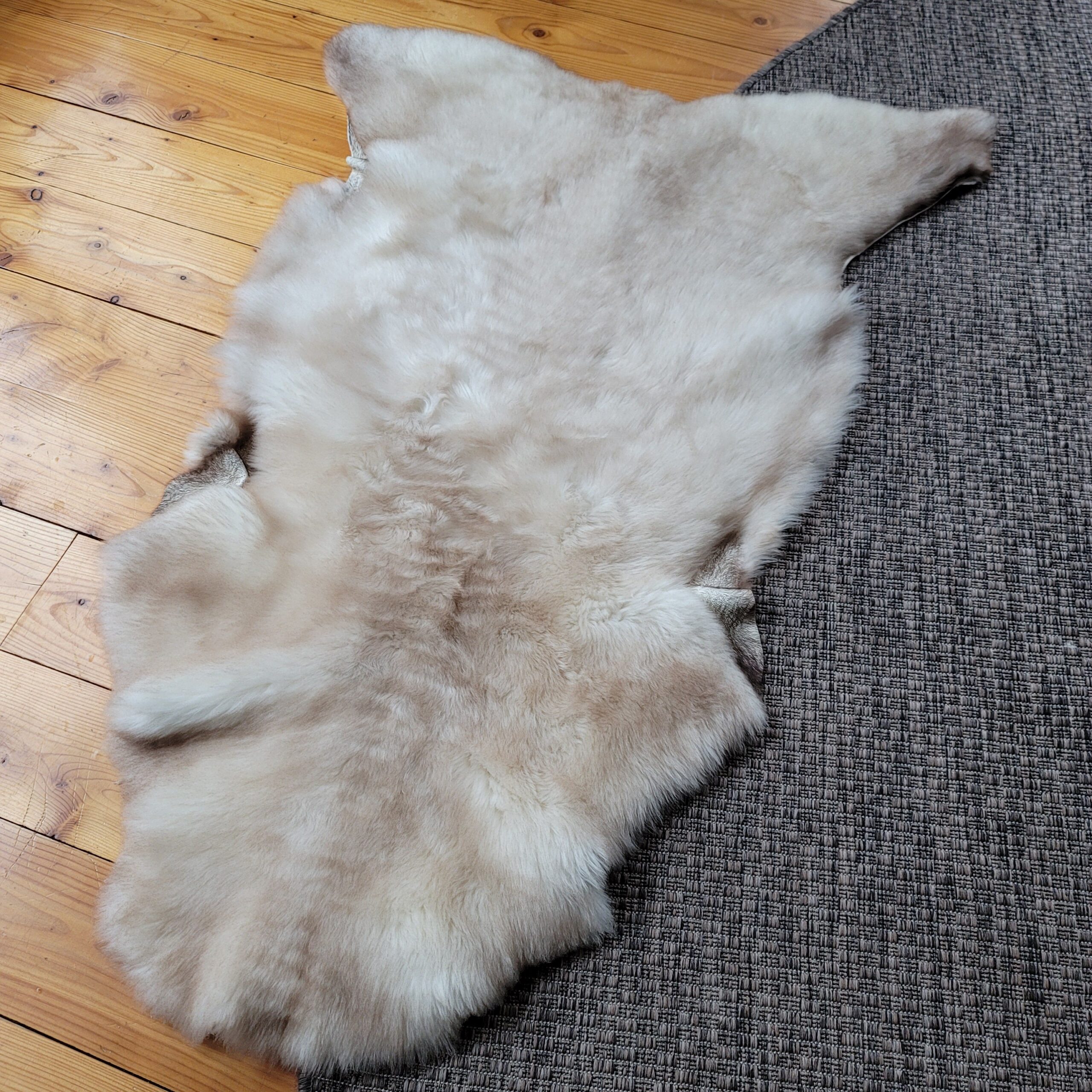 Pearl Greige & Ivory Portland Sheepskin Throw 48″ x 32″ - Image 3