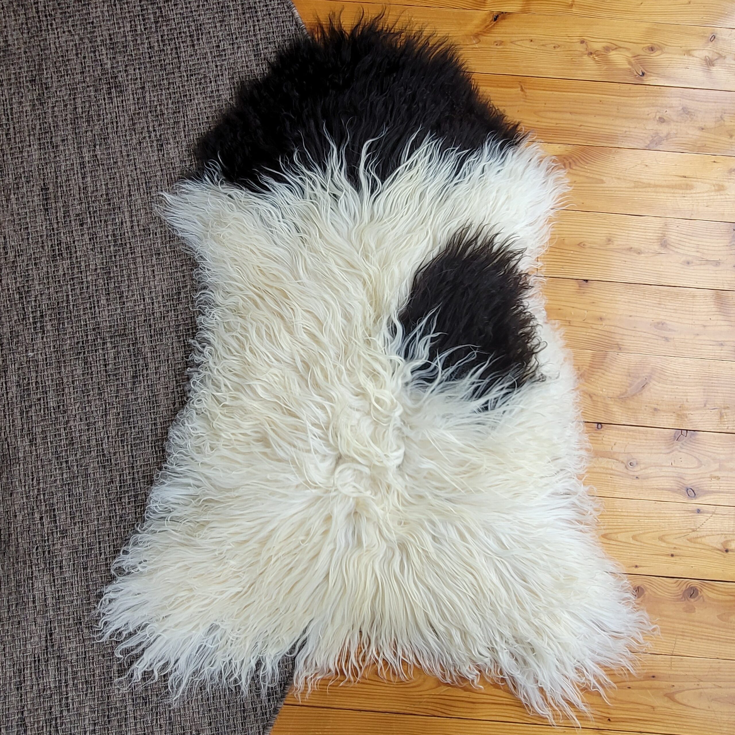 Dark Brown Spotted Ecru Icelandic Sheepskin Rug 50″ × 32″ - Image 4